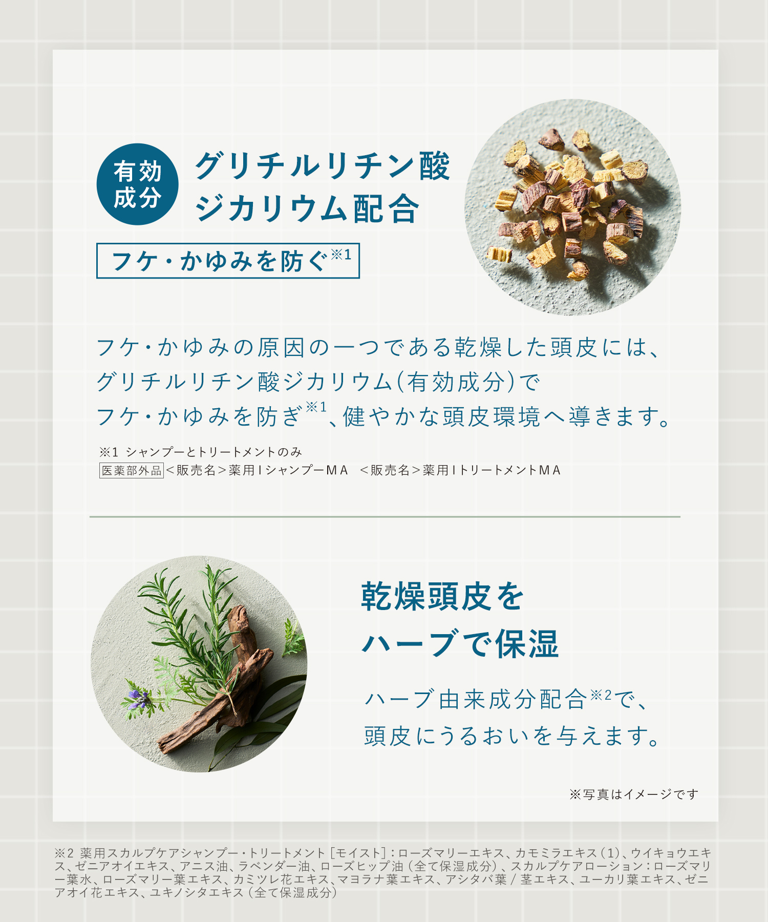 WELLP ウェルプ 薬用スカルプケアシャンプー/トリートメント【詰替】[医薬部外品]