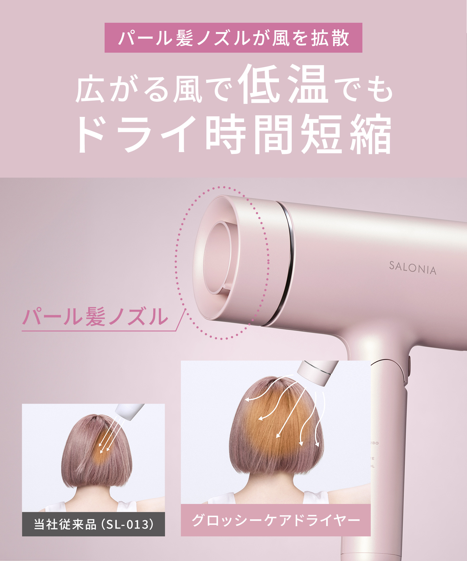 SALONIA サロニア グロッシーケアドライヤー | I-ne公式オンライン