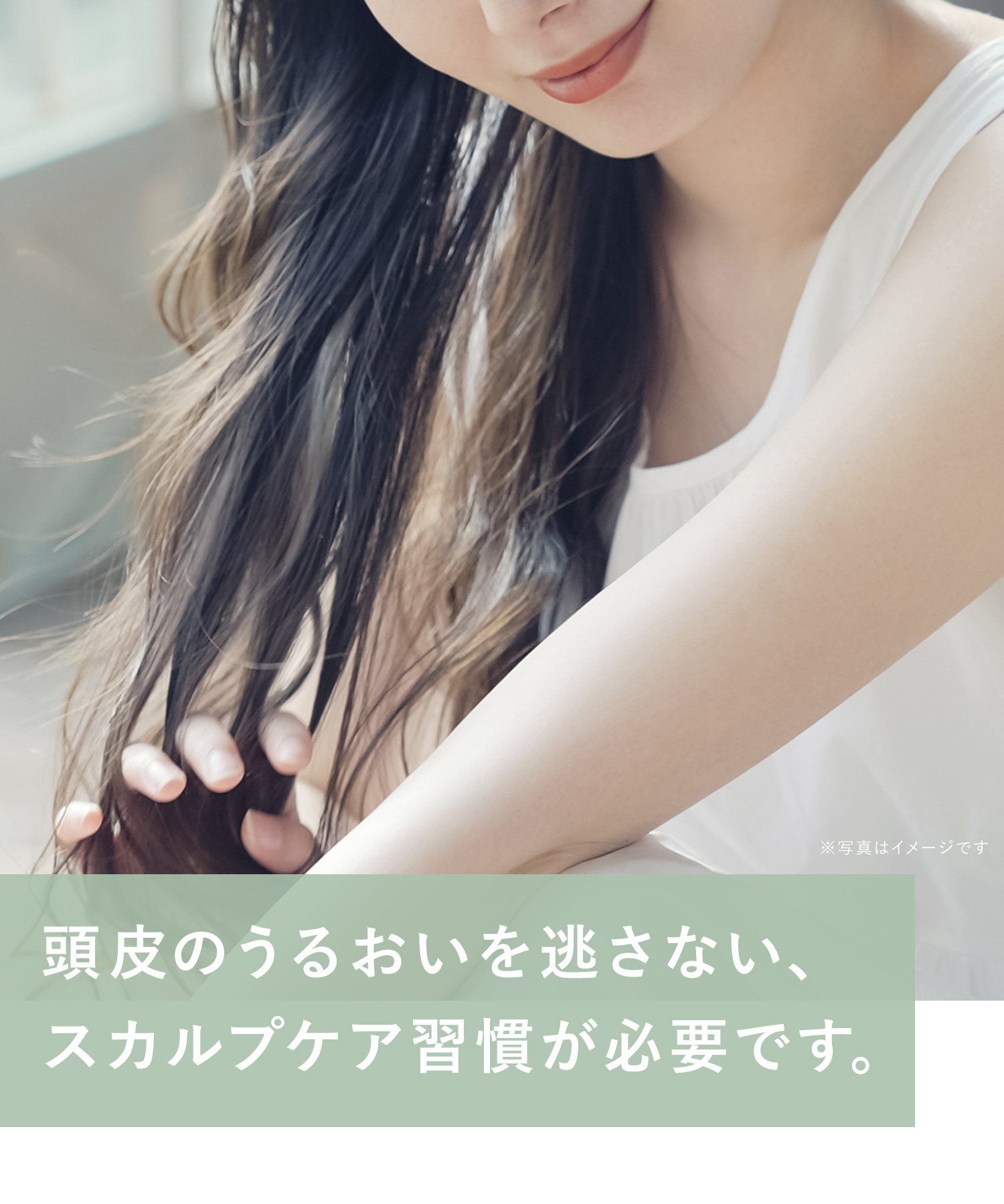 WELLP ウェルプ 薬用スカルプケアシャンプー/トリートメント【詰替】[医薬部外品]