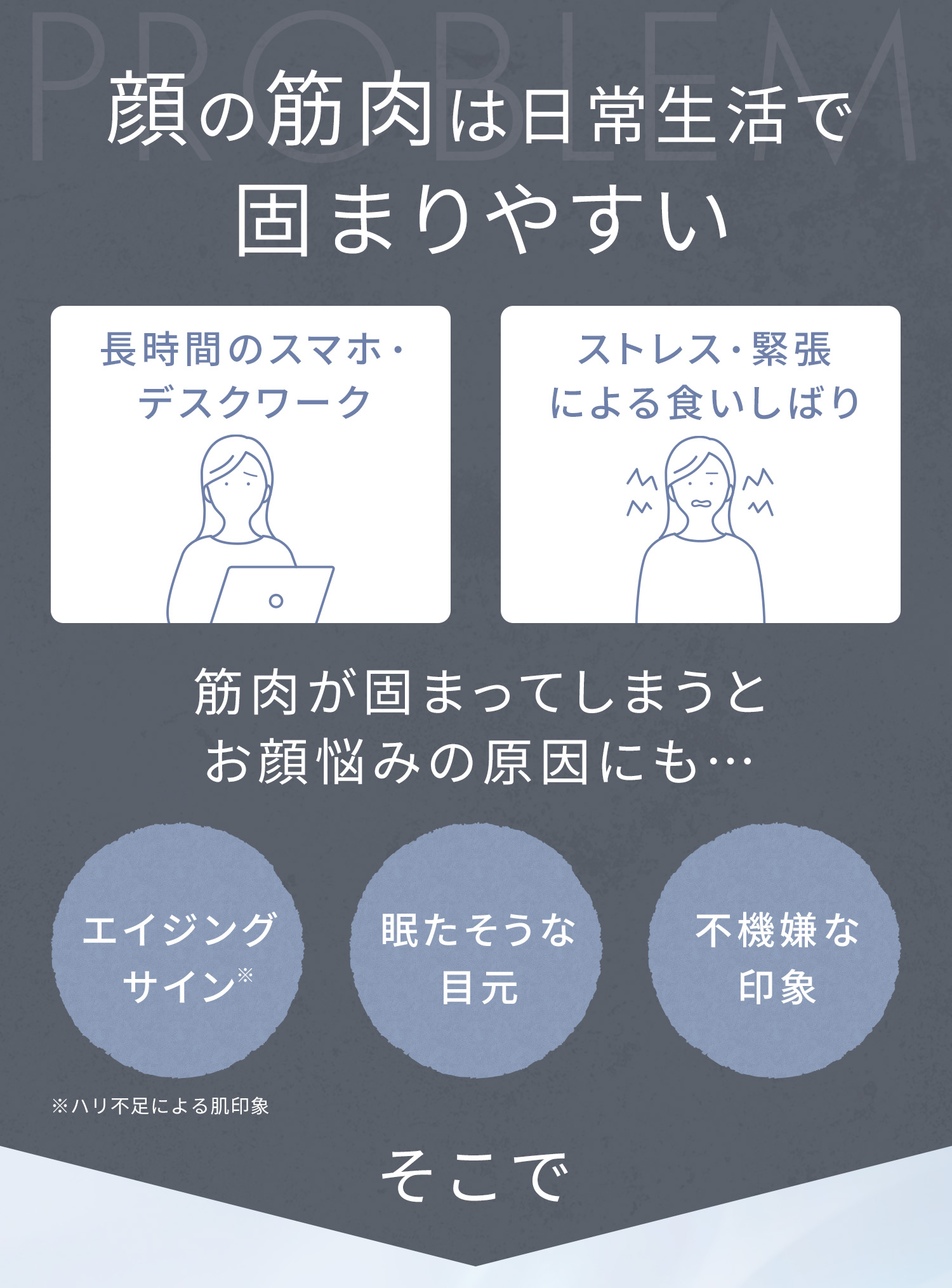 SALONIA サロニア フェイスカレントポインター