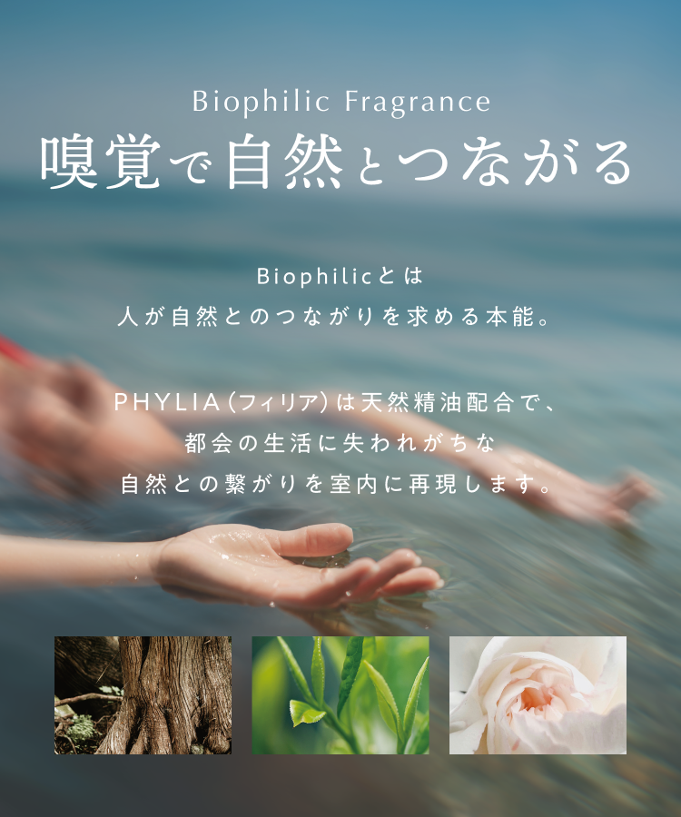 PHYLIA フィリア バイオフィリックディフューザー（リードタイプ）