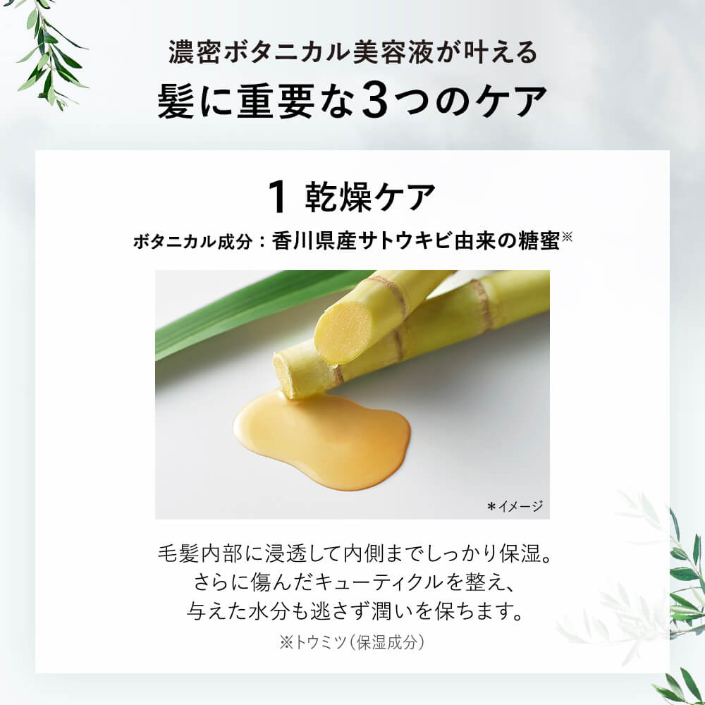 BOTANIST ボタニスト ボタニカルシャンプー・トリートメント