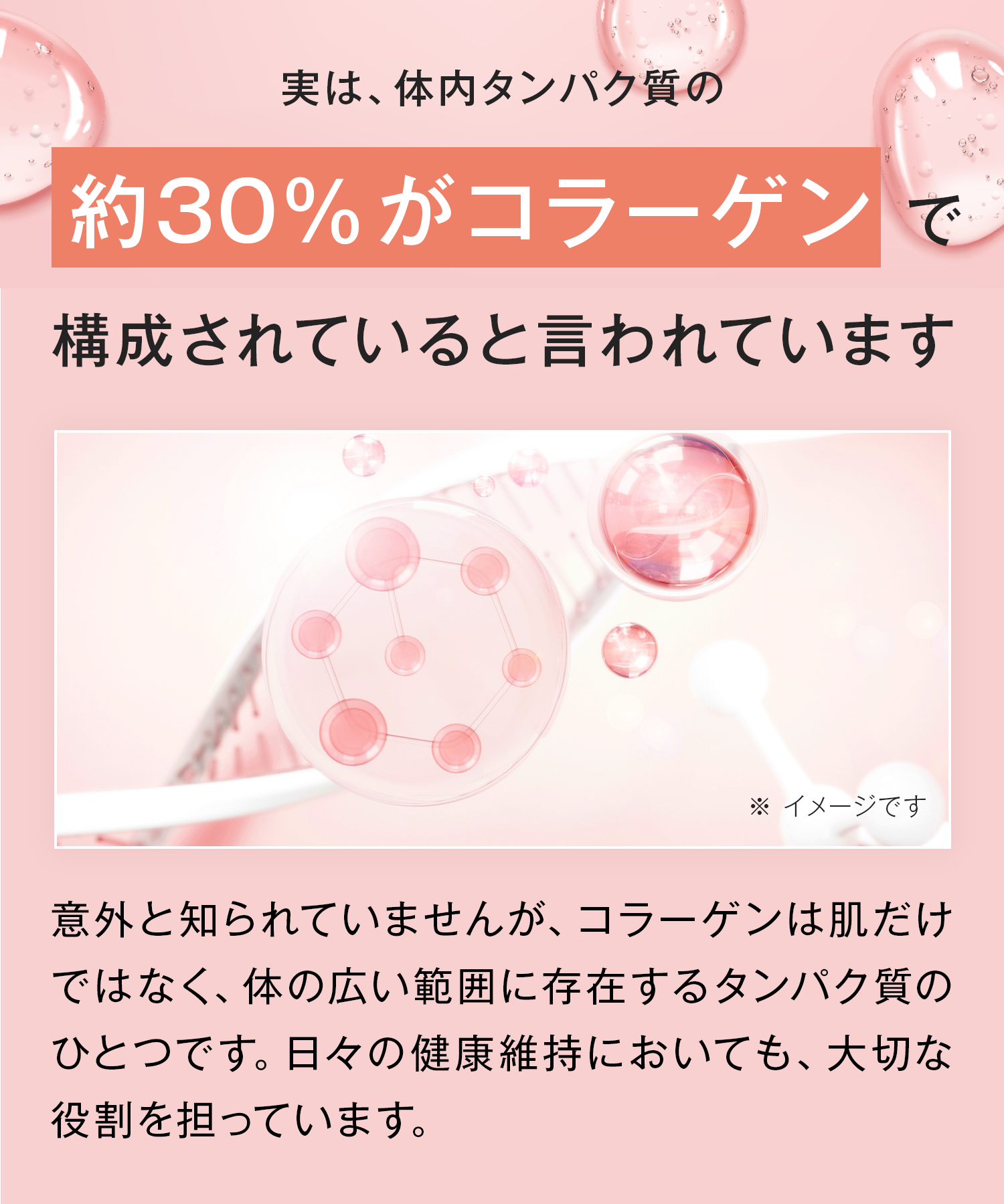 Collatein コラテイン コラーゲンプロテイン 2点セット