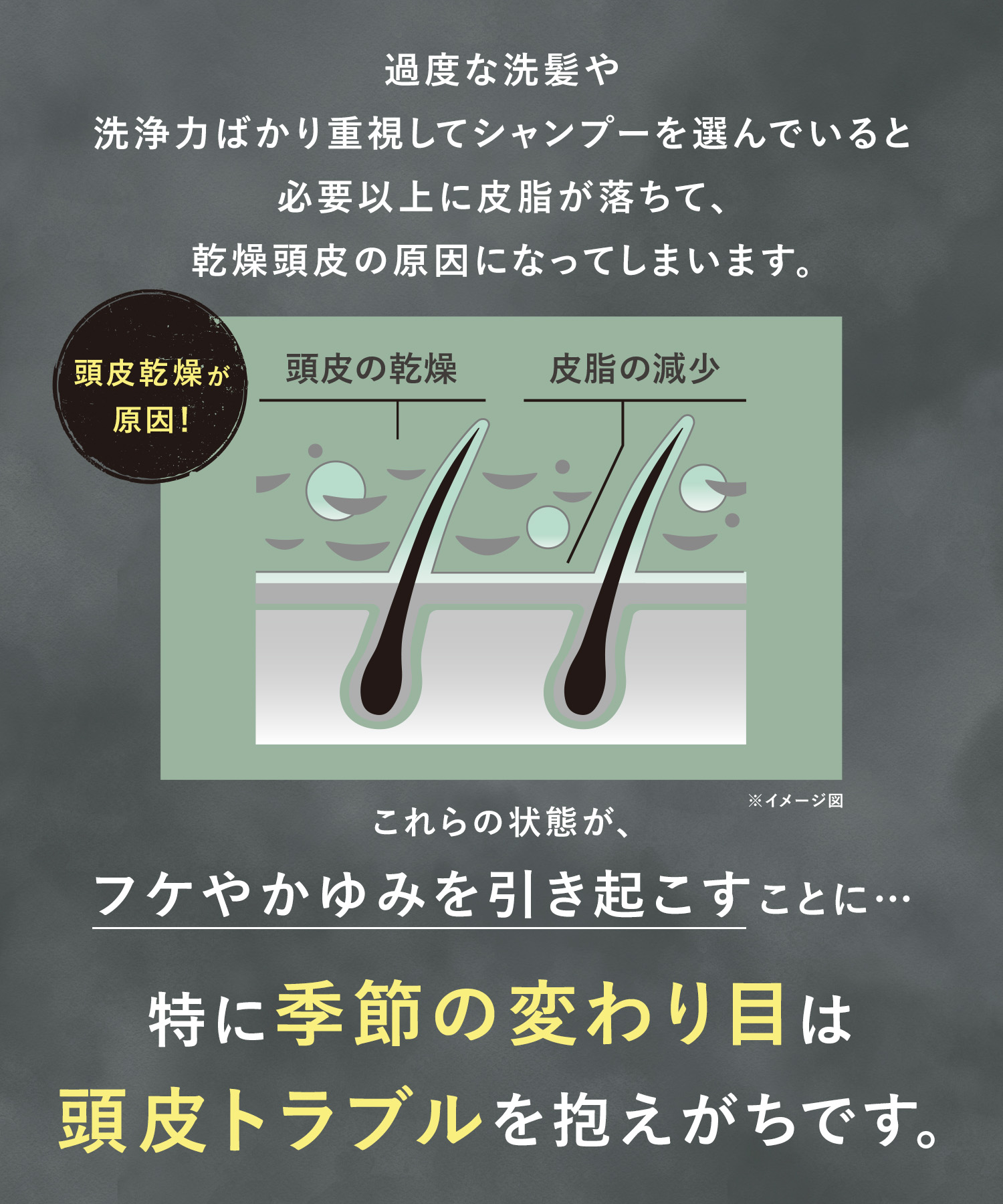 WELLP ウェルプ 薬用スカルプケアシャンプー/トリートメント【詰替】[医薬部外品]