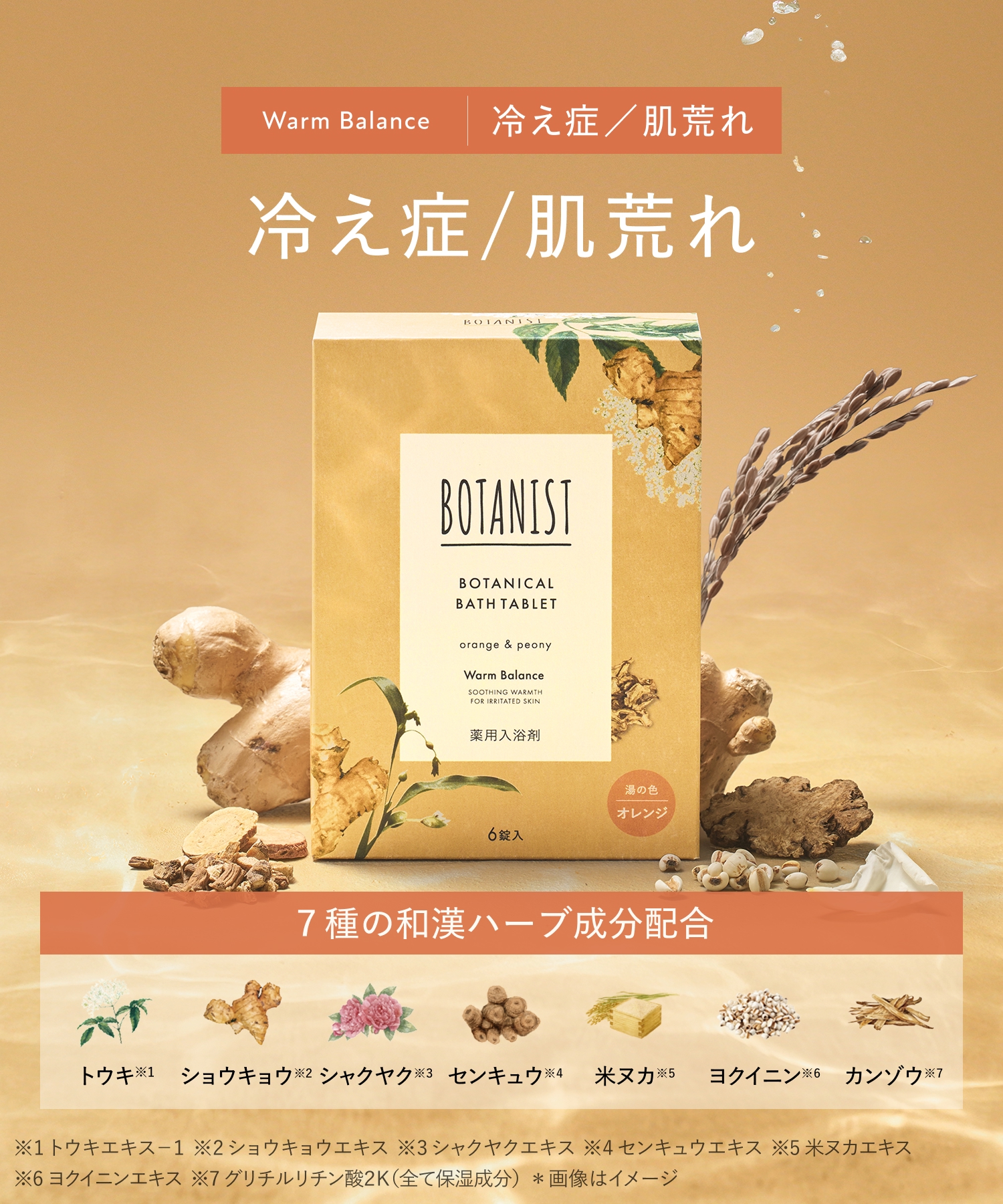 BOTANIST ボタニスト ボタニカルバスタブレット 6錠入り