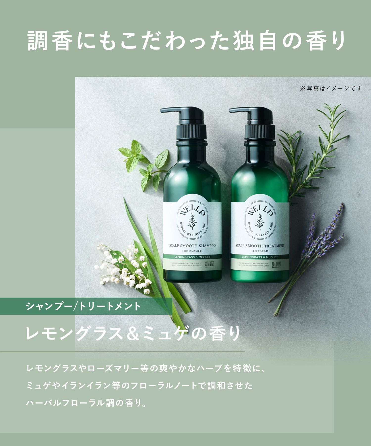 WELLP ウェルプ 薬用スカルプケアシャンプー/トリートメント【詰替】[医薬部外品]