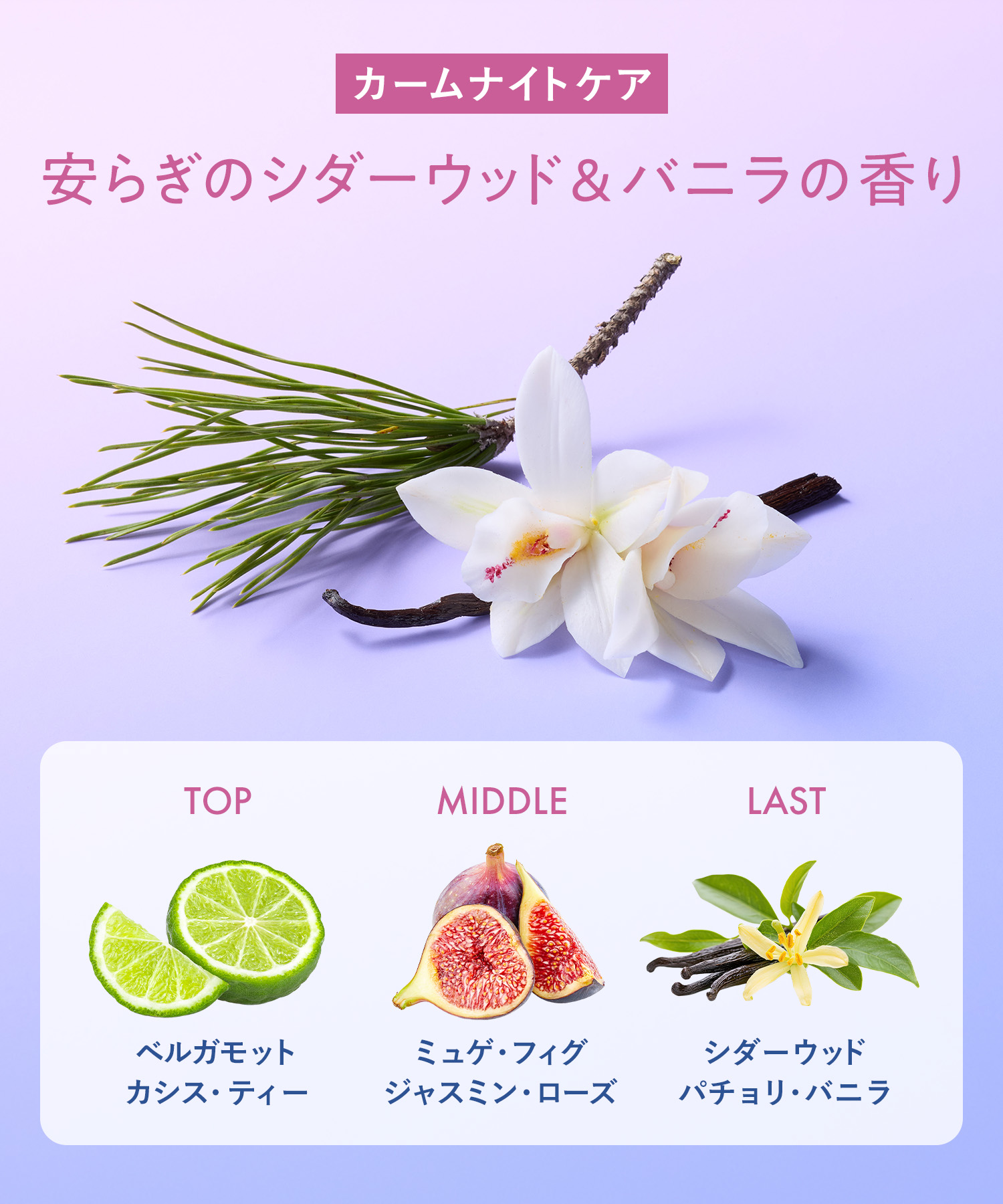 YOLU ヨル ボディスクラブ