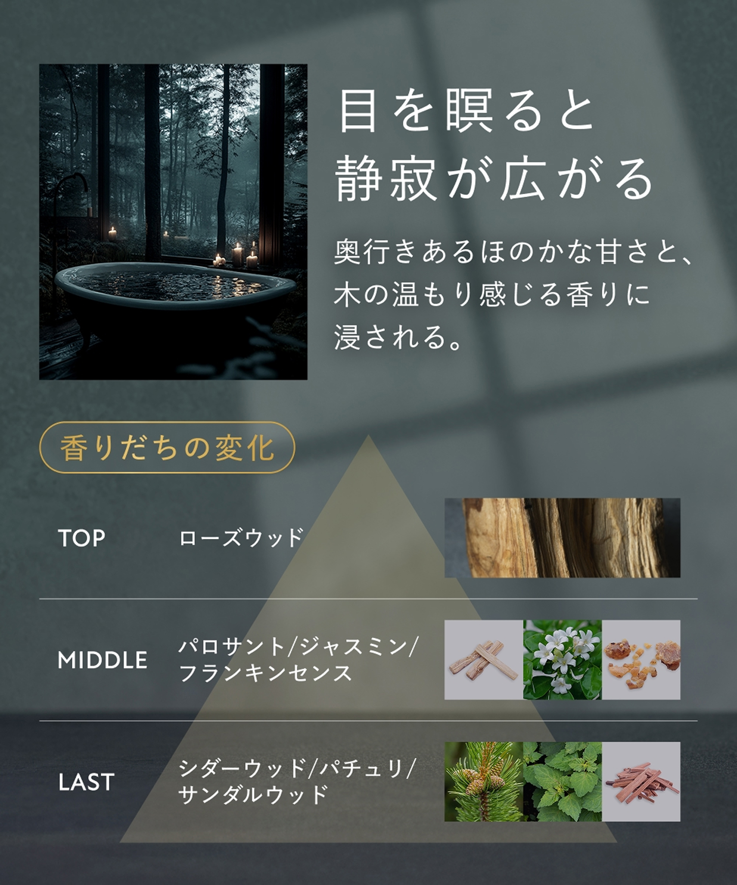 BOTANIST SANTAL ボタニスト サンタル 2026-2027年福袋 11点セット