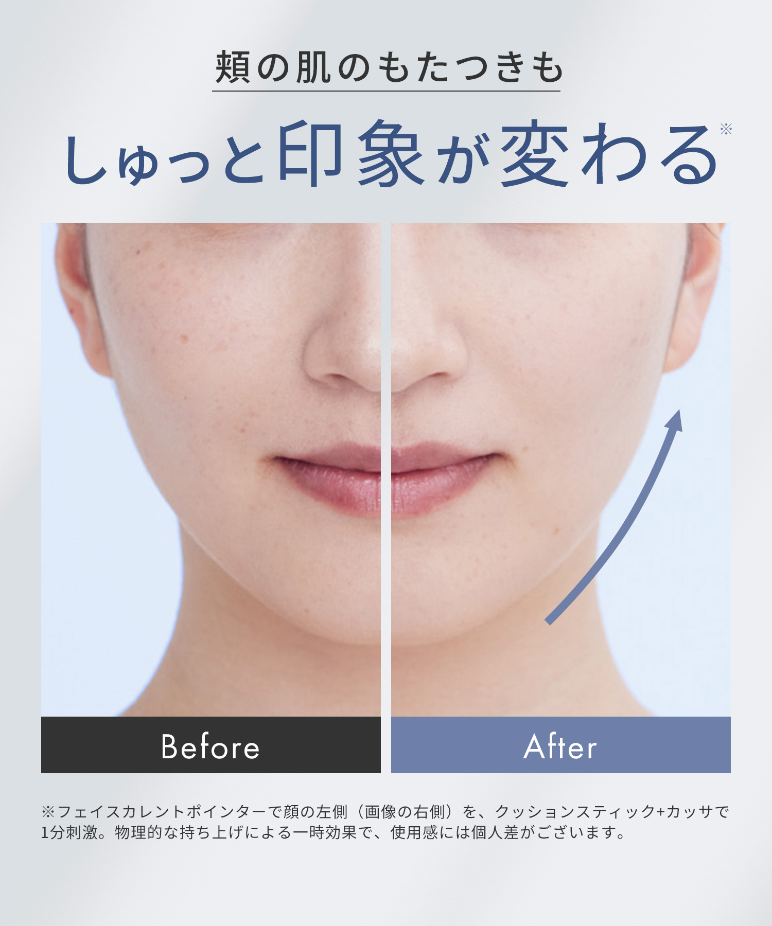 SALONIA サロニア フェイスカレントポインター | I-ne公式オンライン