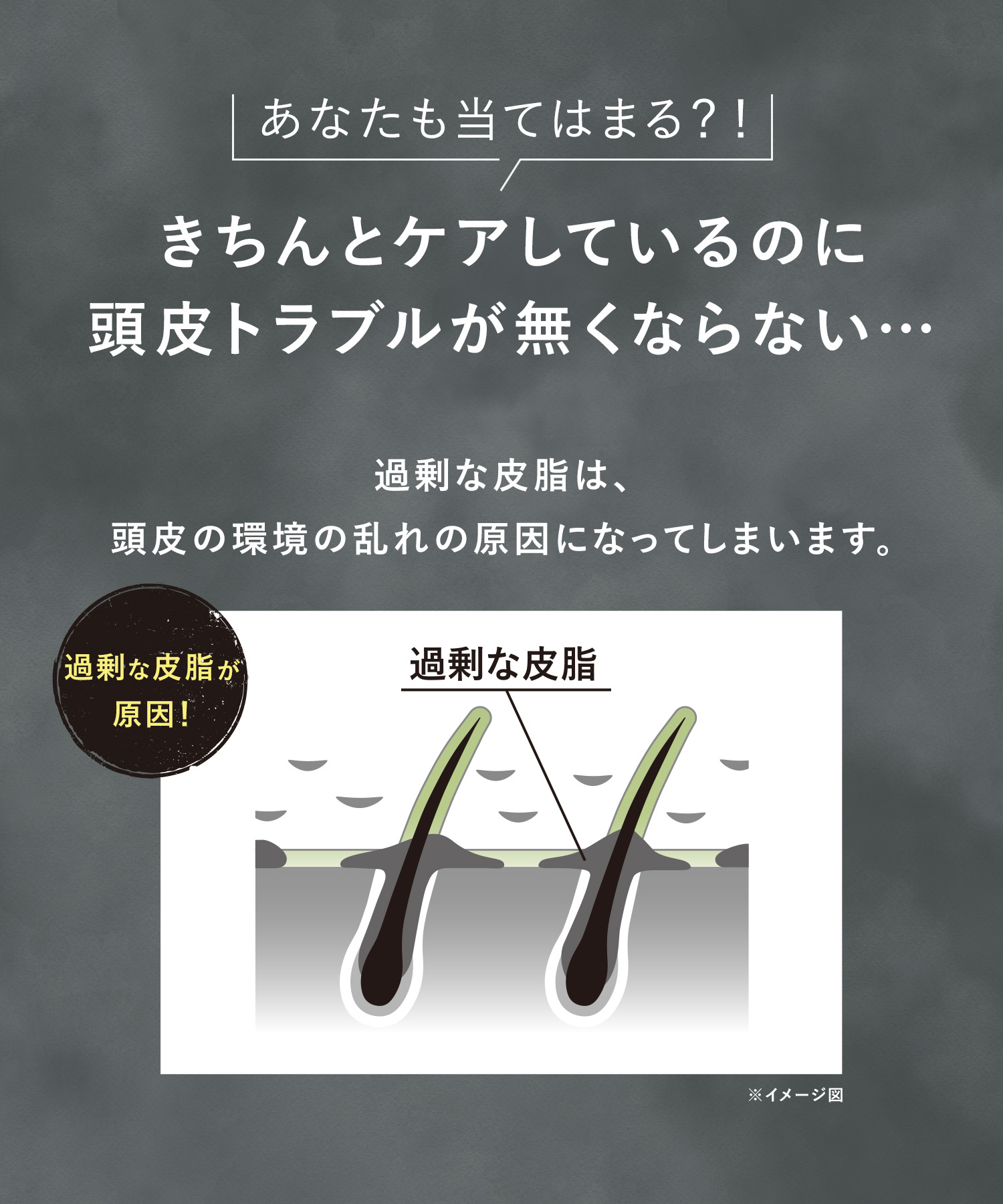 WELLP ウェルプ 薬用スカルプケアシャンプー/トリートメント【詰替】[医薬部外品]