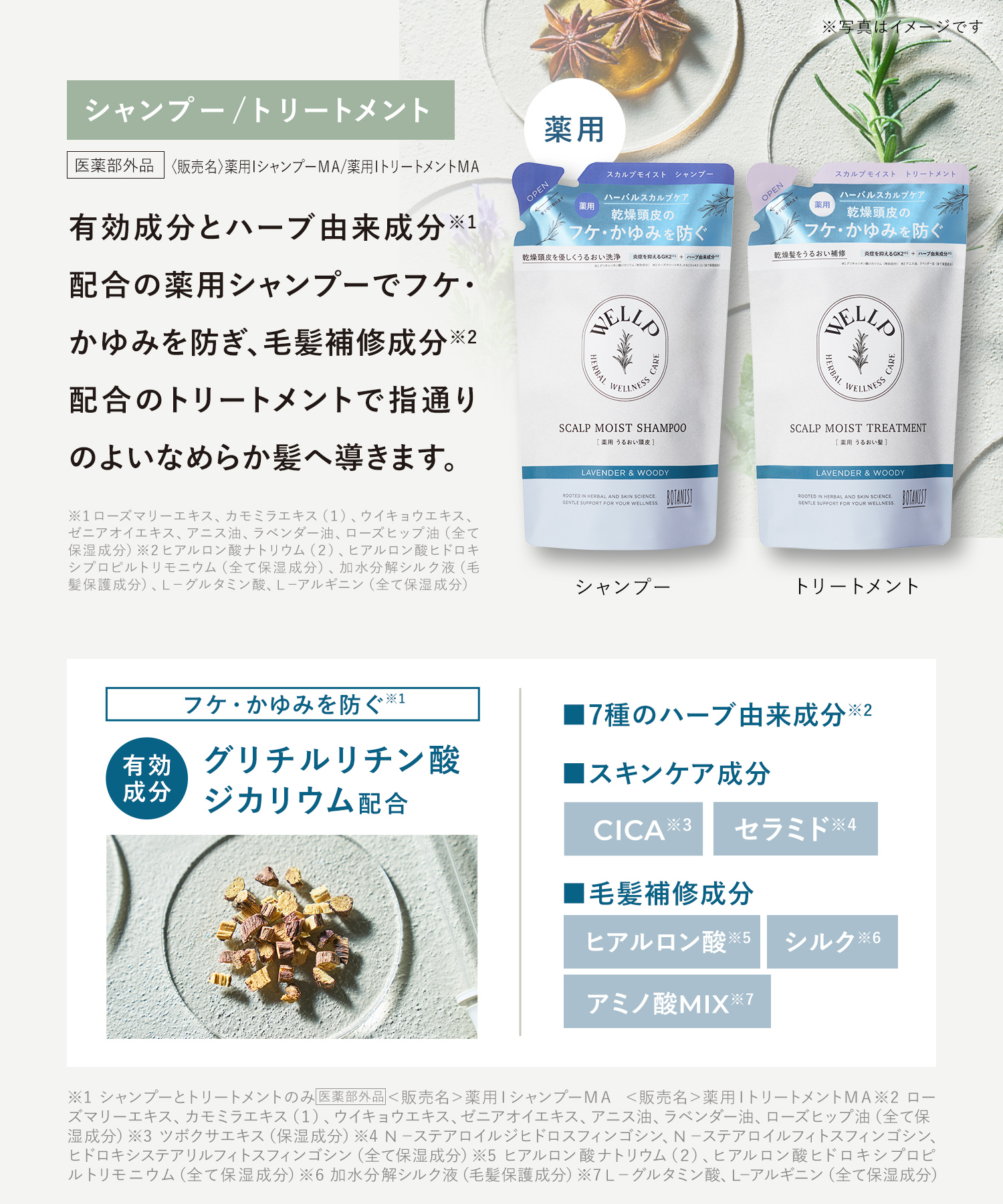WELLP ウェルプ 薬用スカルプケアシャンプー/トリートメント【詰替】[医薬部外品]