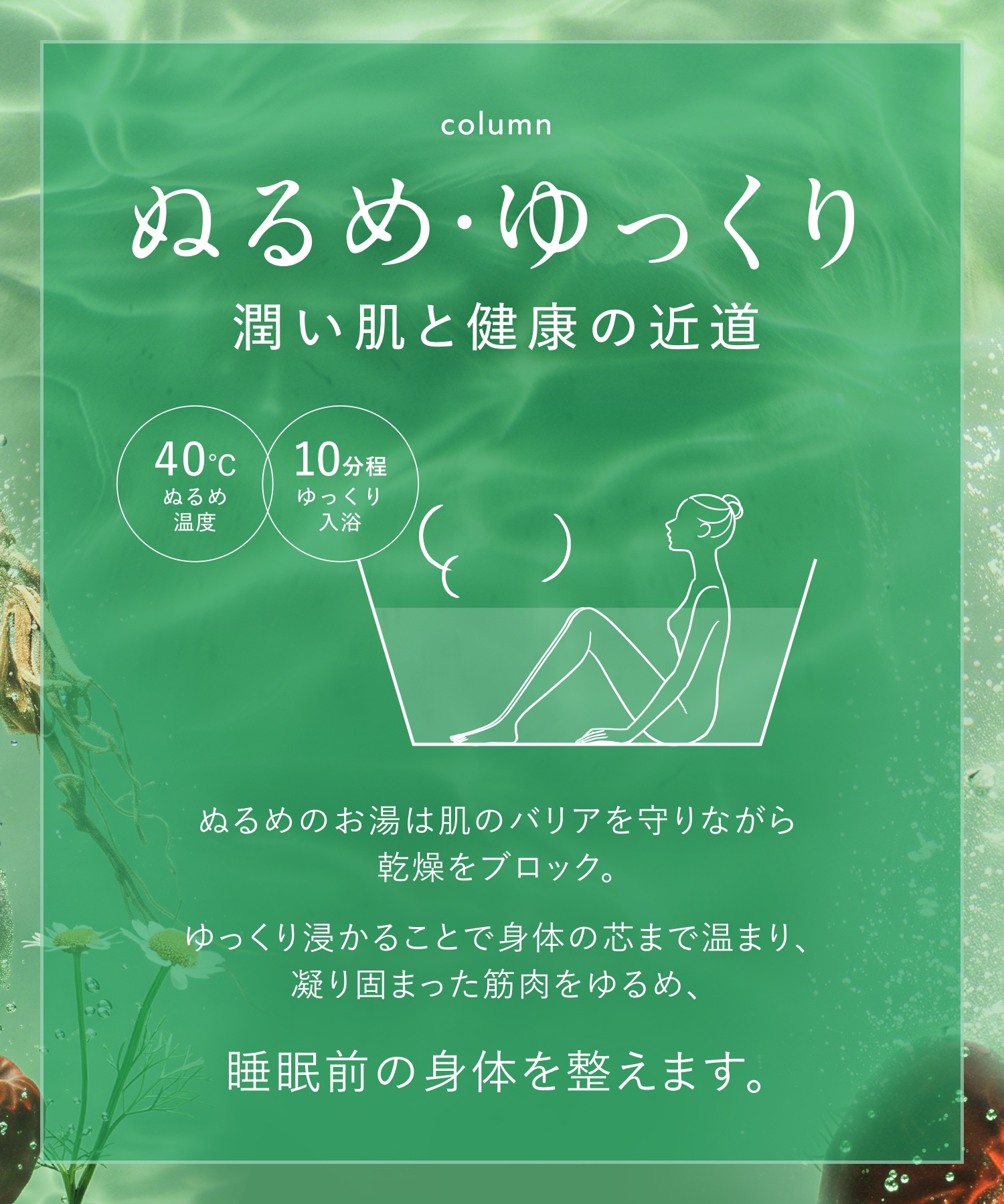 BOTANIST ボタニスト ボタニカルバスタブレット 6錠入り