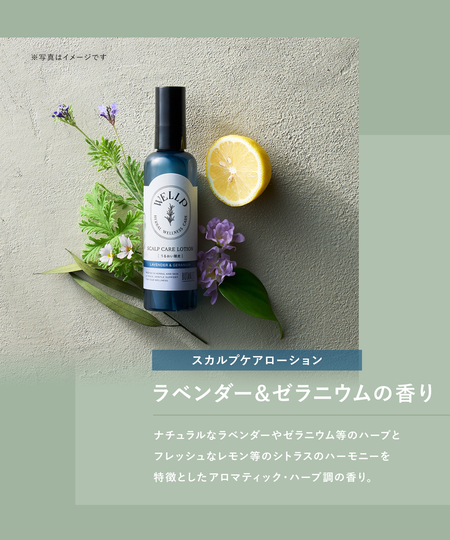 WELLP ウェルプ スカルプケアローション[化粧品]