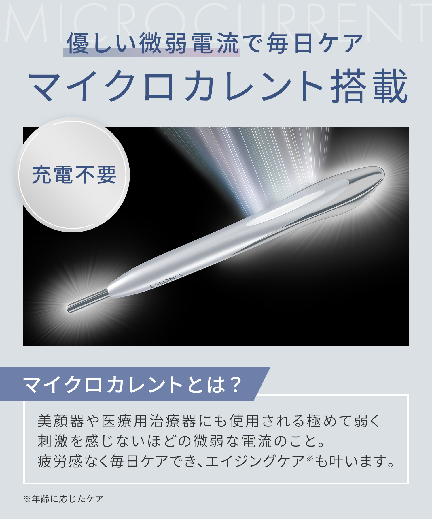 予約】【送料無料】SALONIA(サロニア)フェイスカレントポインター<2026