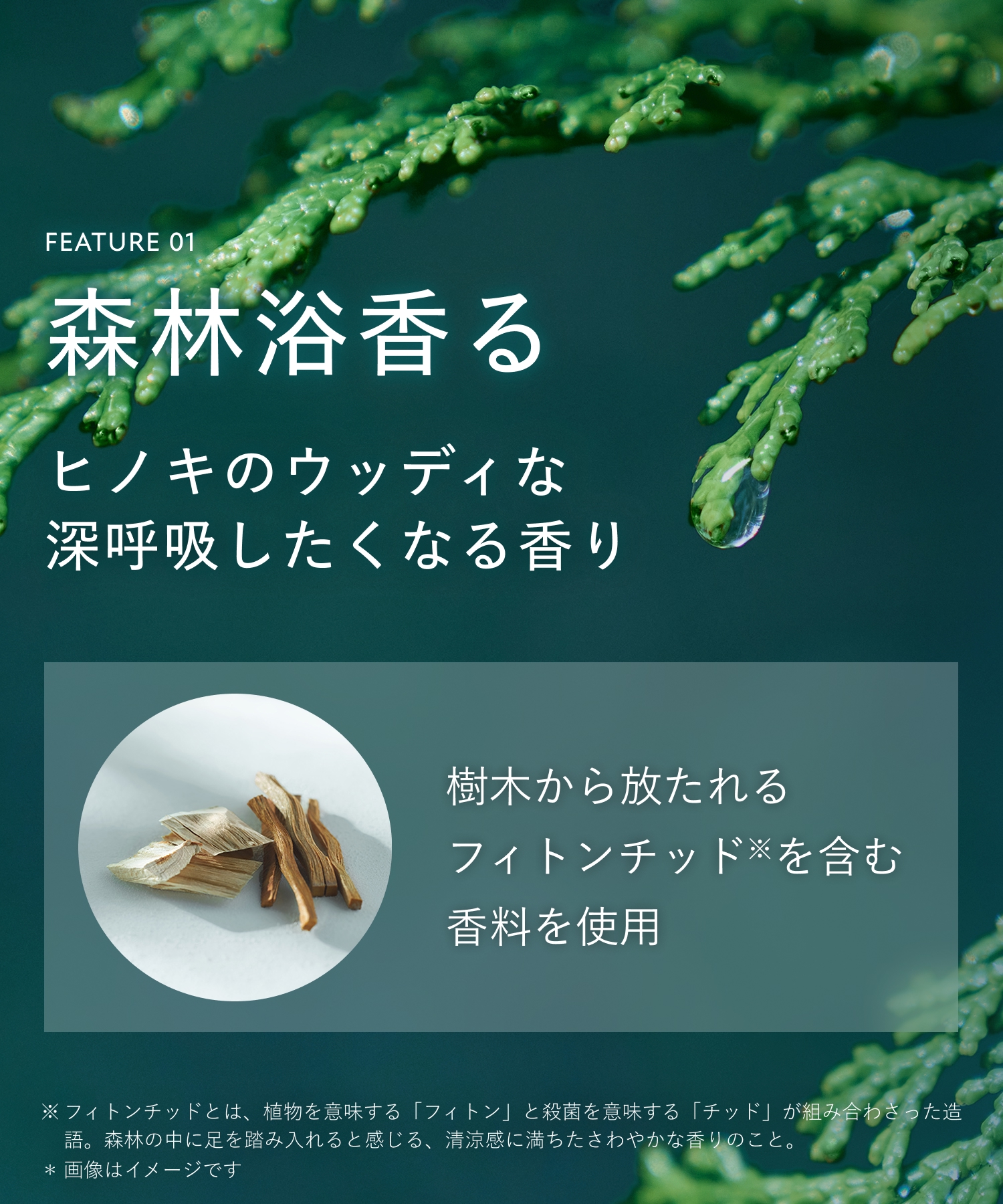BOTANIST ボタニスト ボタニカルボディーソープ  詰替