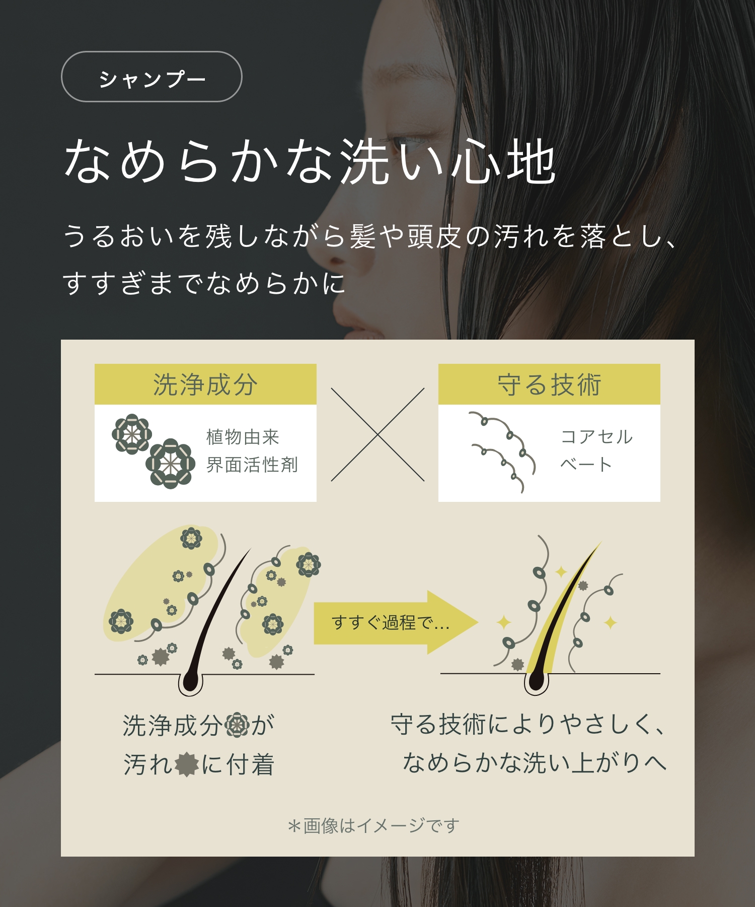 BOTANIST ボタニスト サンタル リペアオイルインシャンプー・トリートメント 詰替