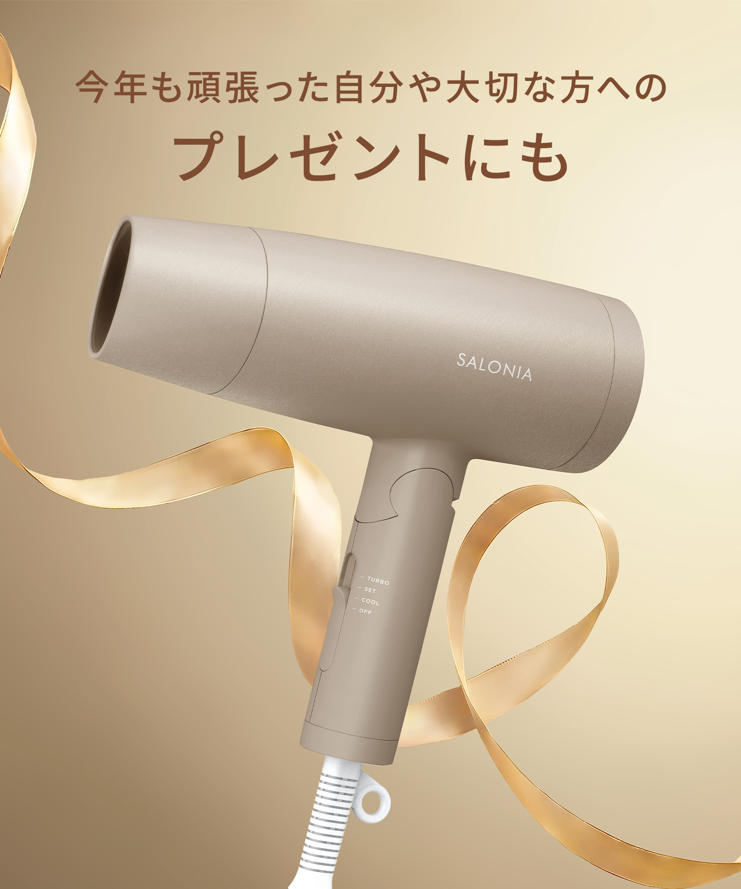 SALONIA サロニア スピーディーイオンドライヤー