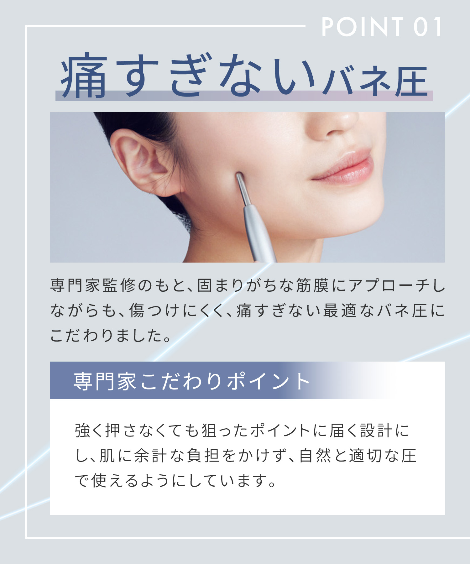 予約】【送料無料】SALONIA(サロニア)フェイスカレントポインター<2026