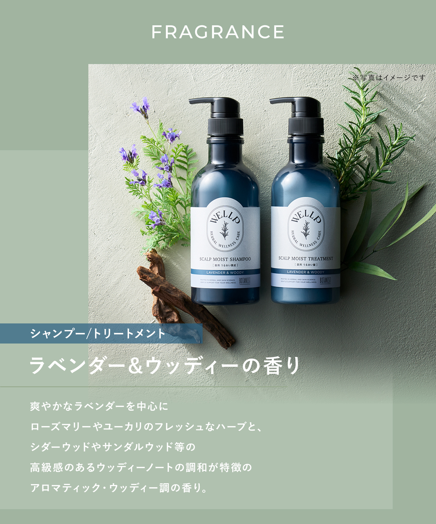 WELLP ウェルプ 薬用スカルプケアシャンプー/トリートメント【詰替】[医薬部外品]
