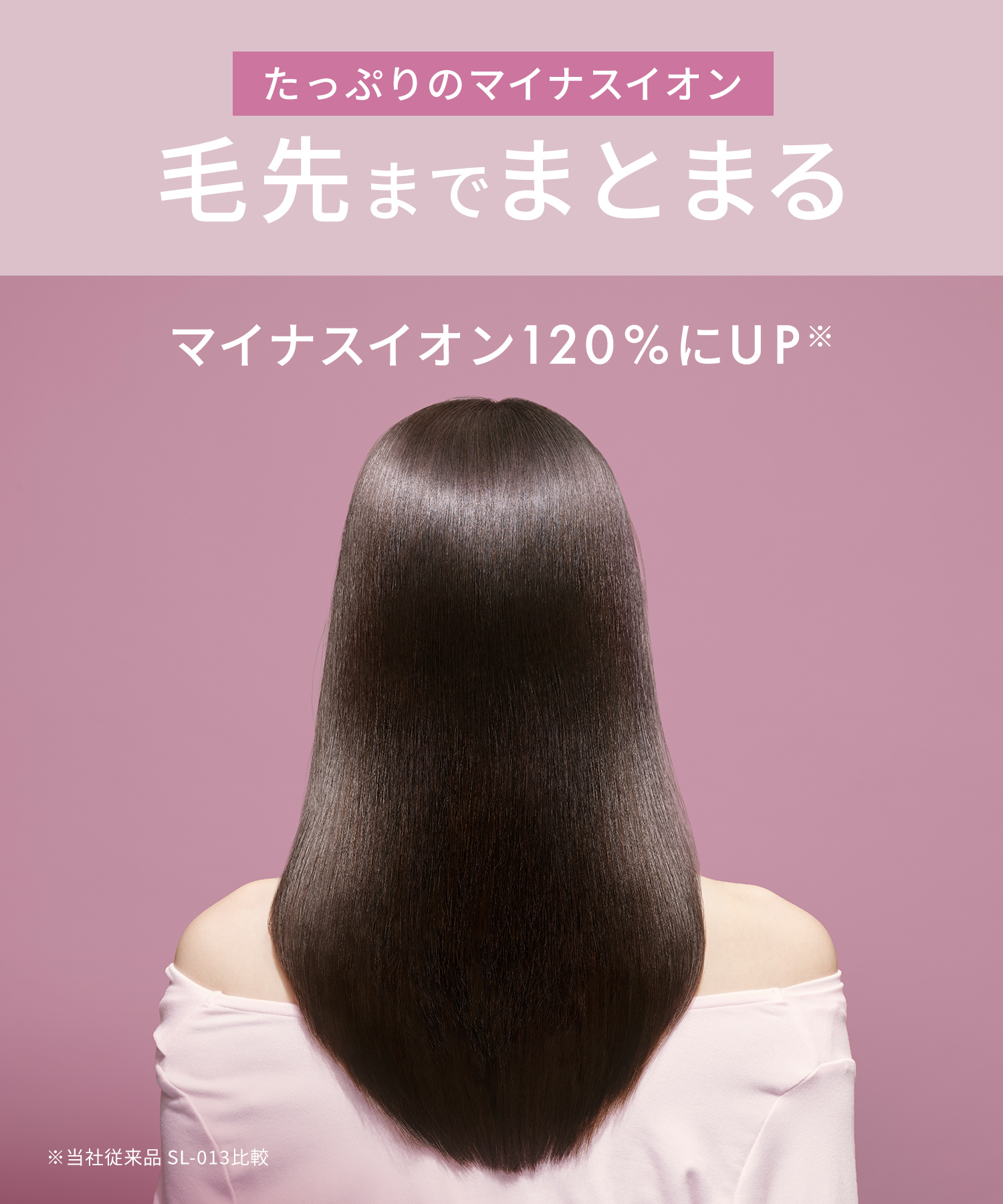 SALONIA サロニア グロッシーケアドライヤー | I-ne公式オンライン