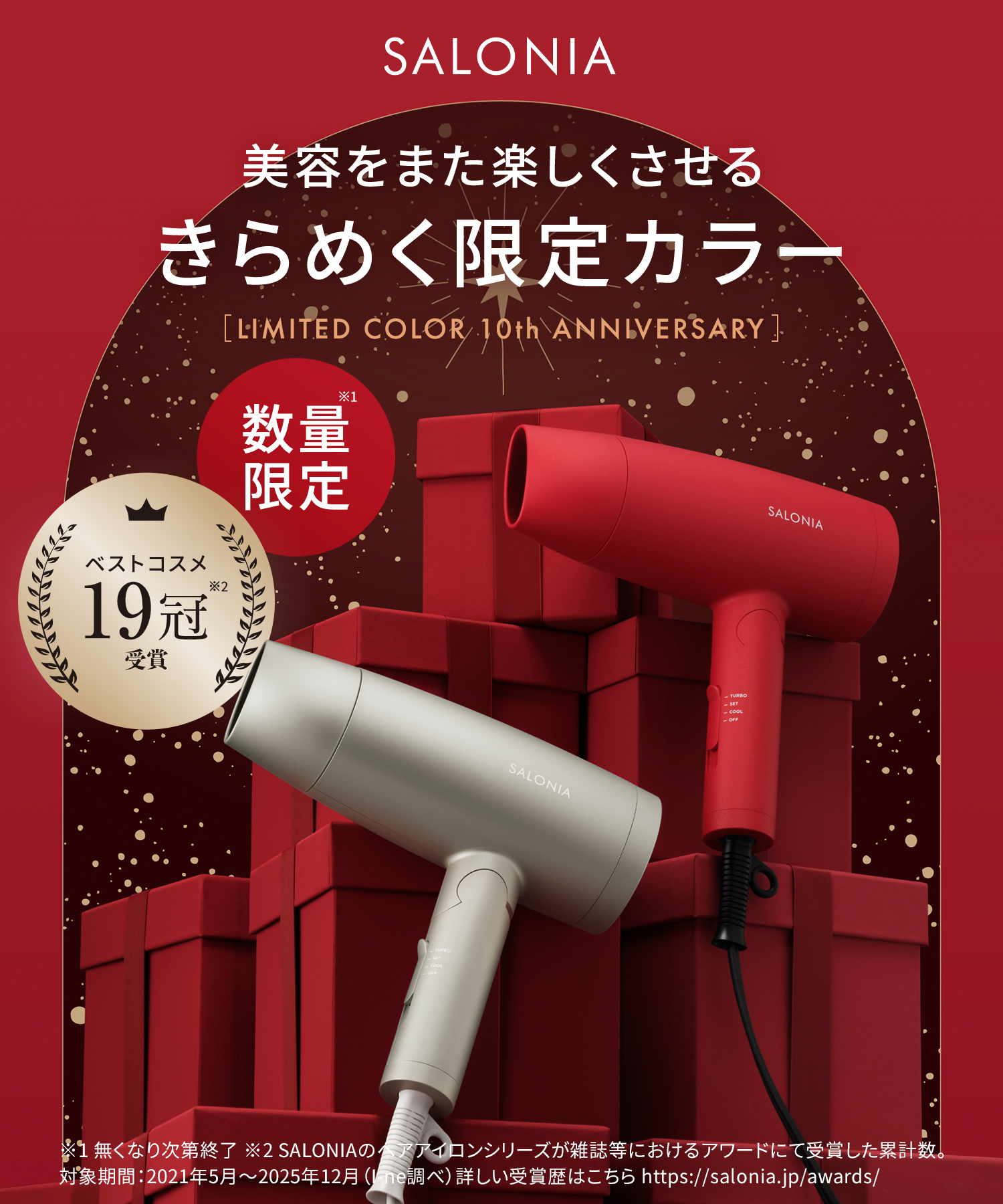 SALONIA サロニア スピーディーイオンドライヤー