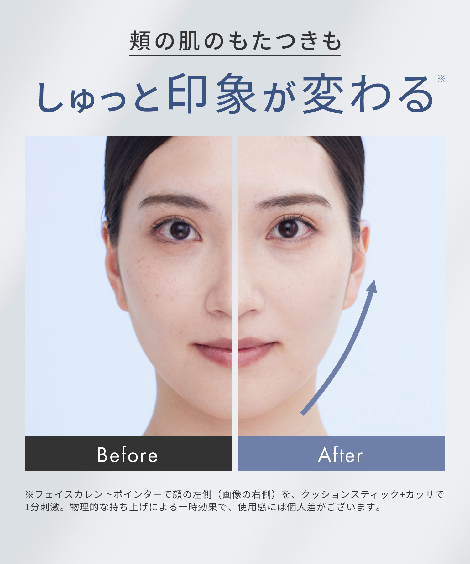 予約】【送料無料】SALONIA(サロニア)フェイスカレントポインター<2026