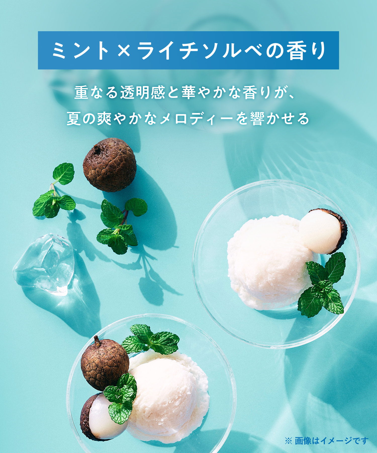 【2026年夏限定】YOLU ヨルトリーツサマー ナイトリペアシャンプー・トリートメント