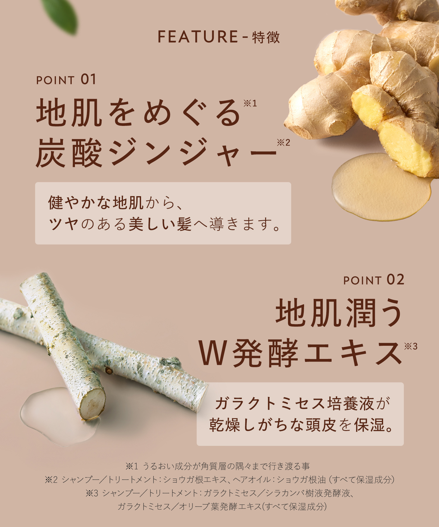【予約】BOTANIST ROOTH ボタニスト ルース  2026-2027年福袋 8点セット
