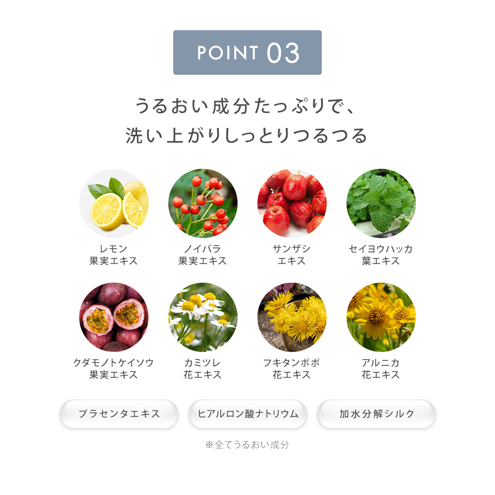 【まとめ買いで最大30%OFF】SALONIA サロニア エクストラクリーミーフォーム