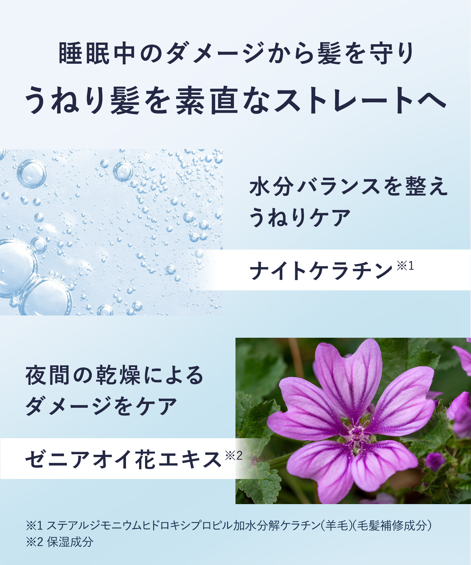 YOLU ヨル 2026-2027年福袋 12点セット