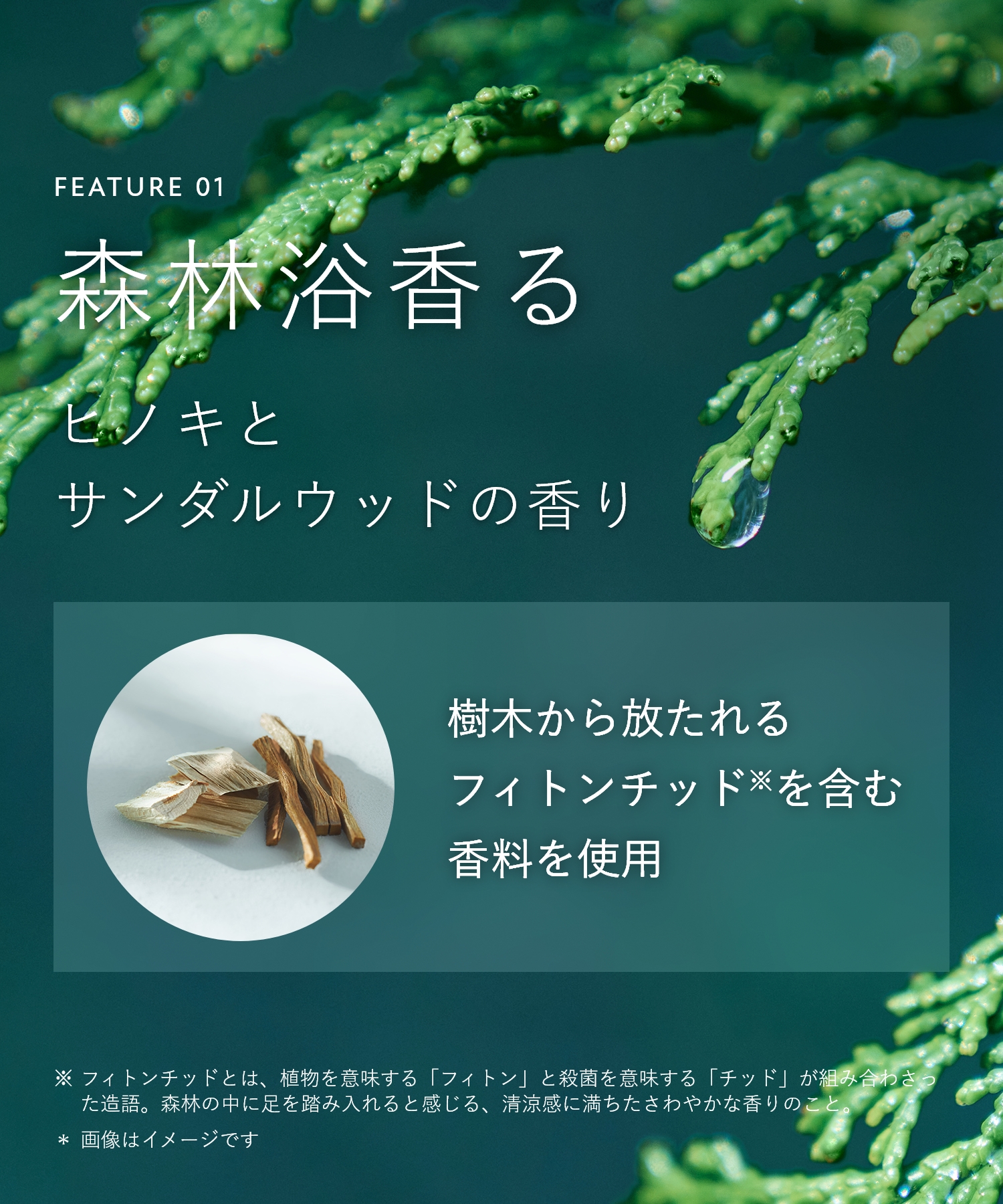 BOTANIST ボタニスト ボタニカルボディーソープ  詰替