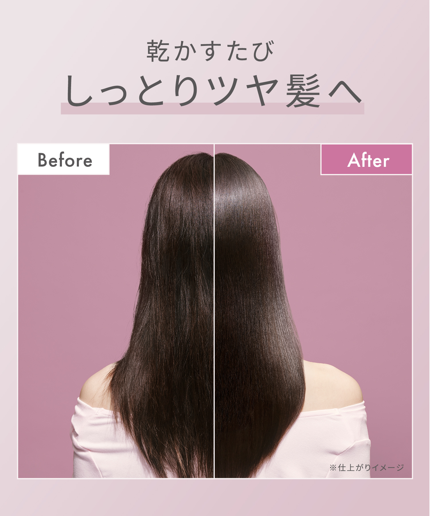 SALONIA サロニア グロッシーケアドライヤー | I-ne公式オンライン