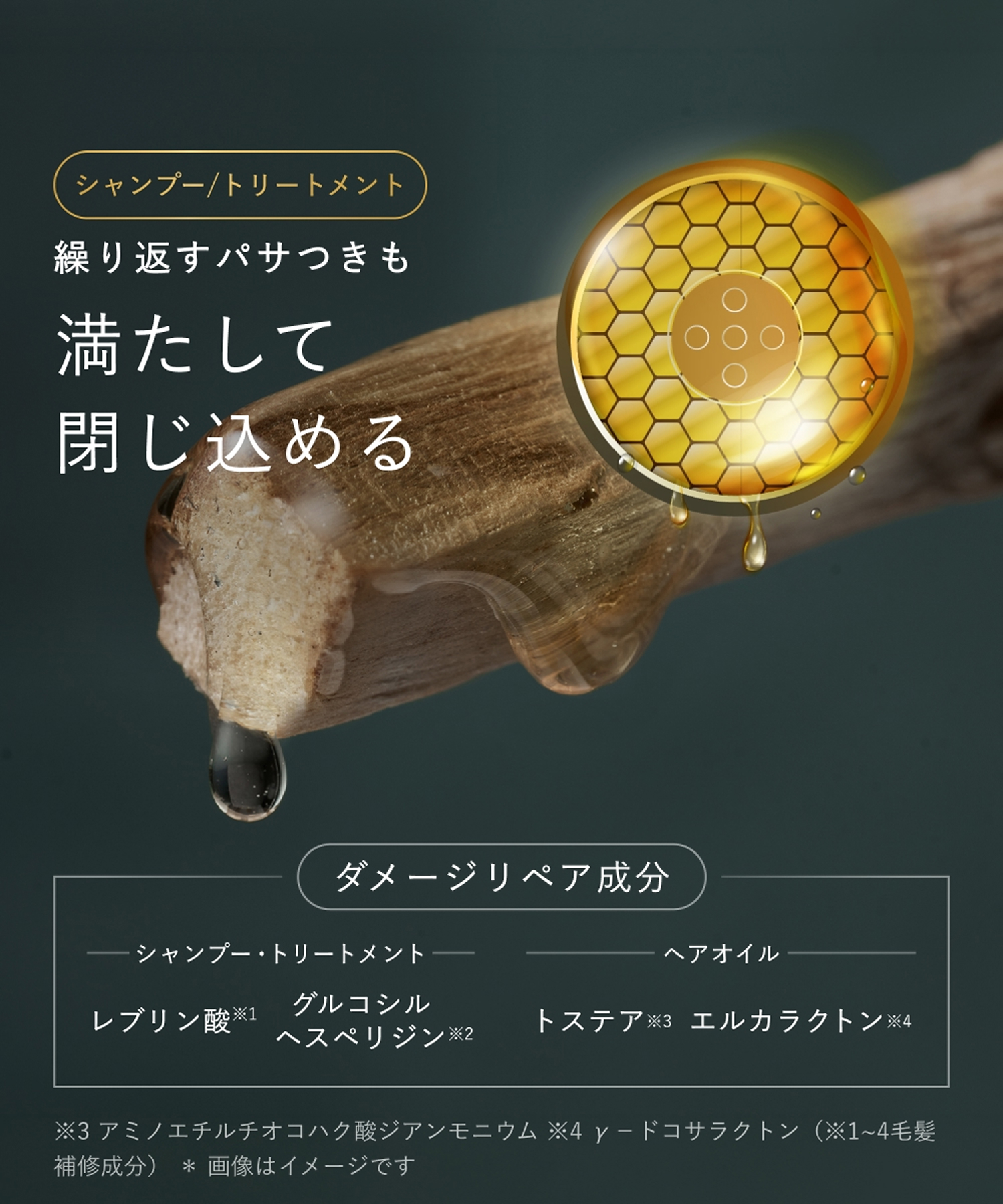 BOTANIST SANTAL ボタニスト サンタル 2026-2027年福袋 11点セット