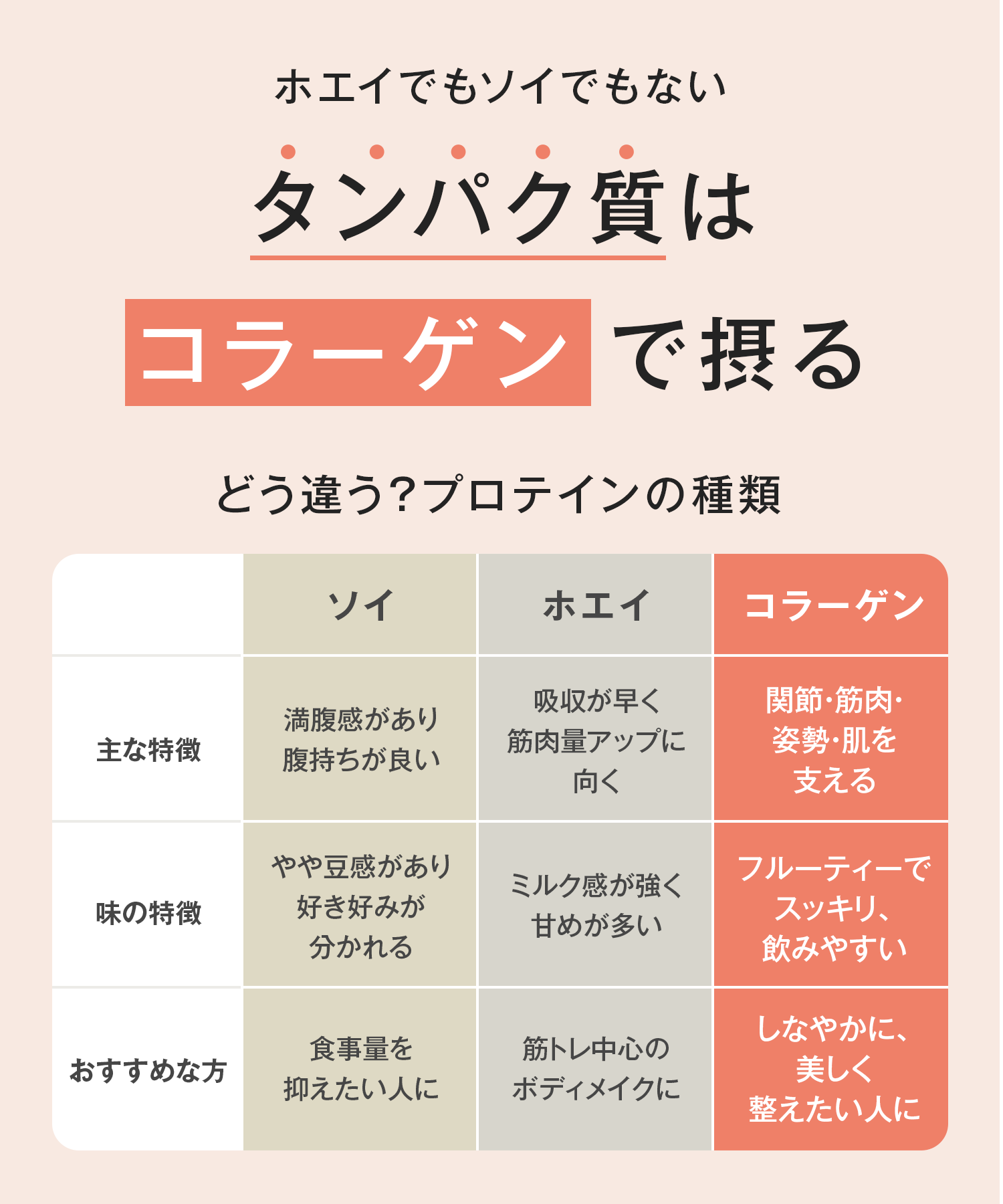 Collatein コラテイン コラーゲンプロテイン 2点セット
