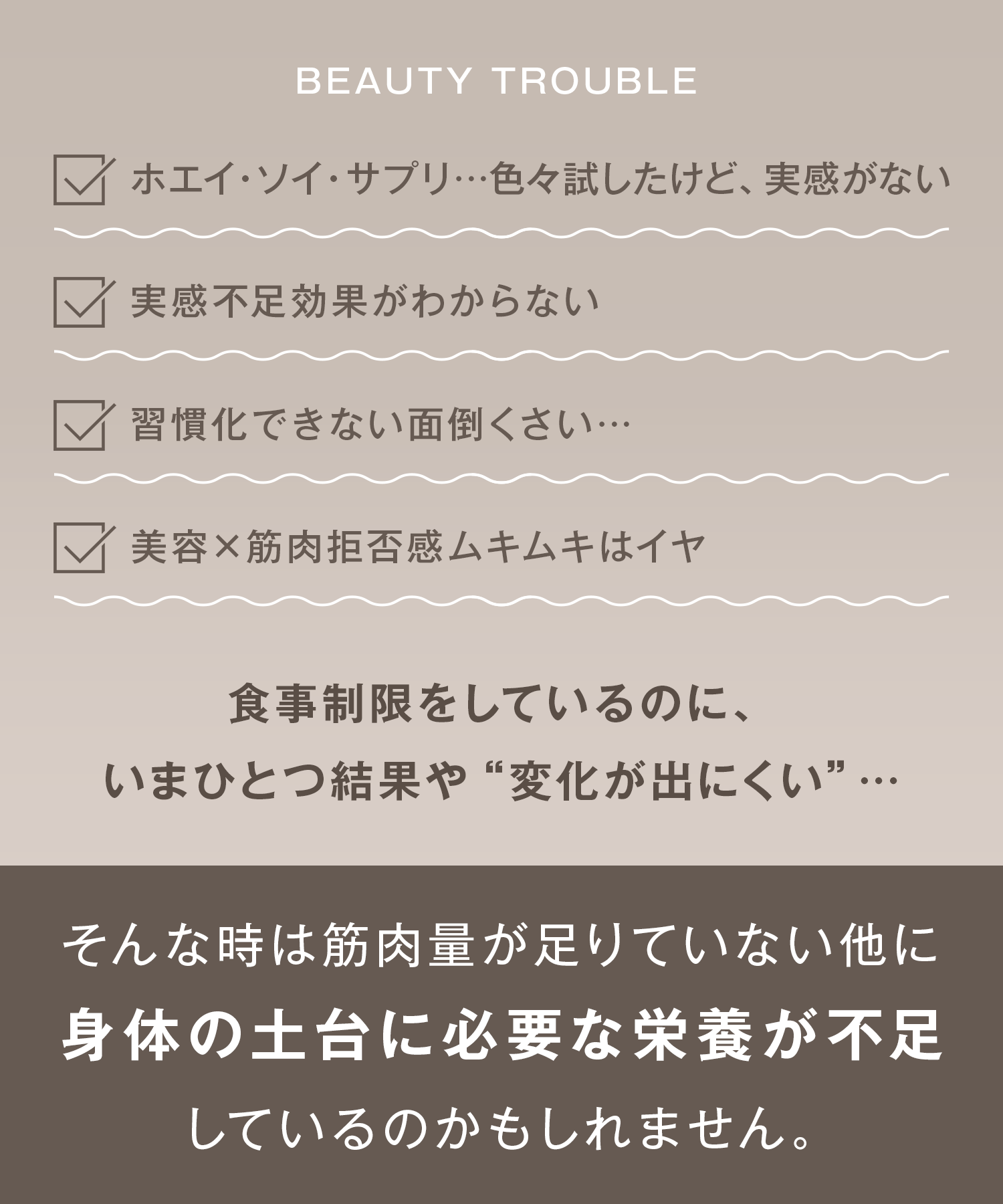 Collatein コラテイン コラーゲンプロテイン 2点セット