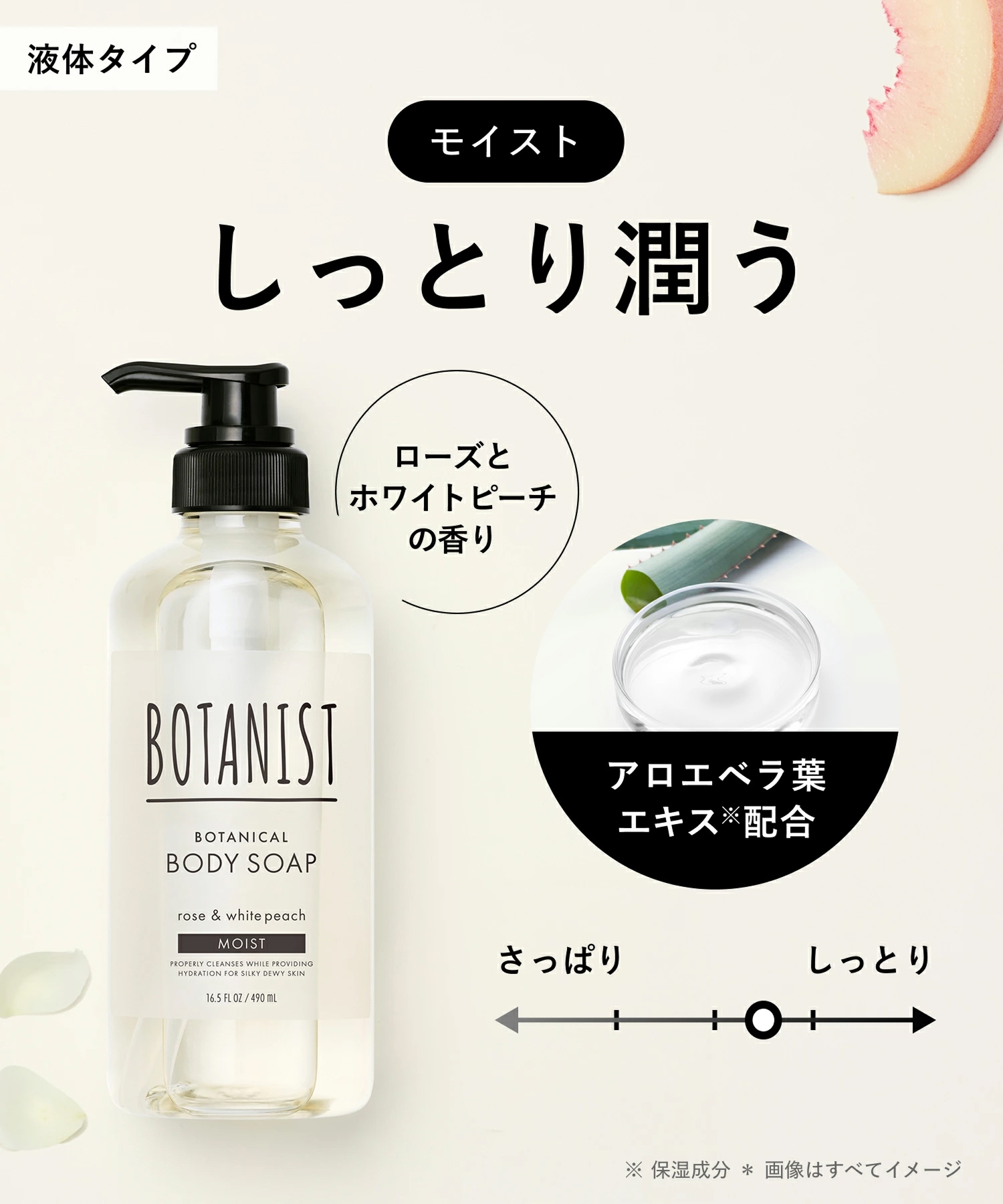BOTANIST ボタニスト 2026-2027年福袋 6点セット