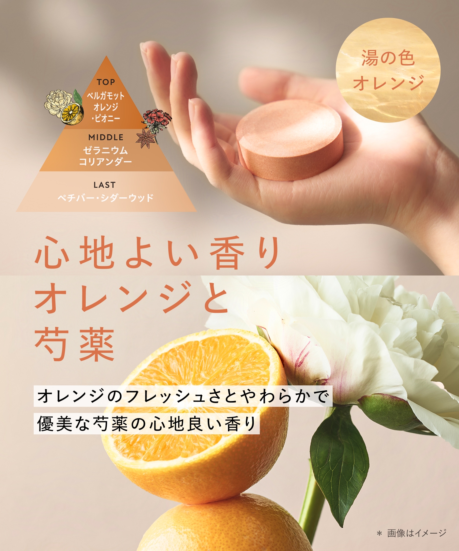 BOTANIST ボタニスト ボタニカルバスタブレット 6錠入り