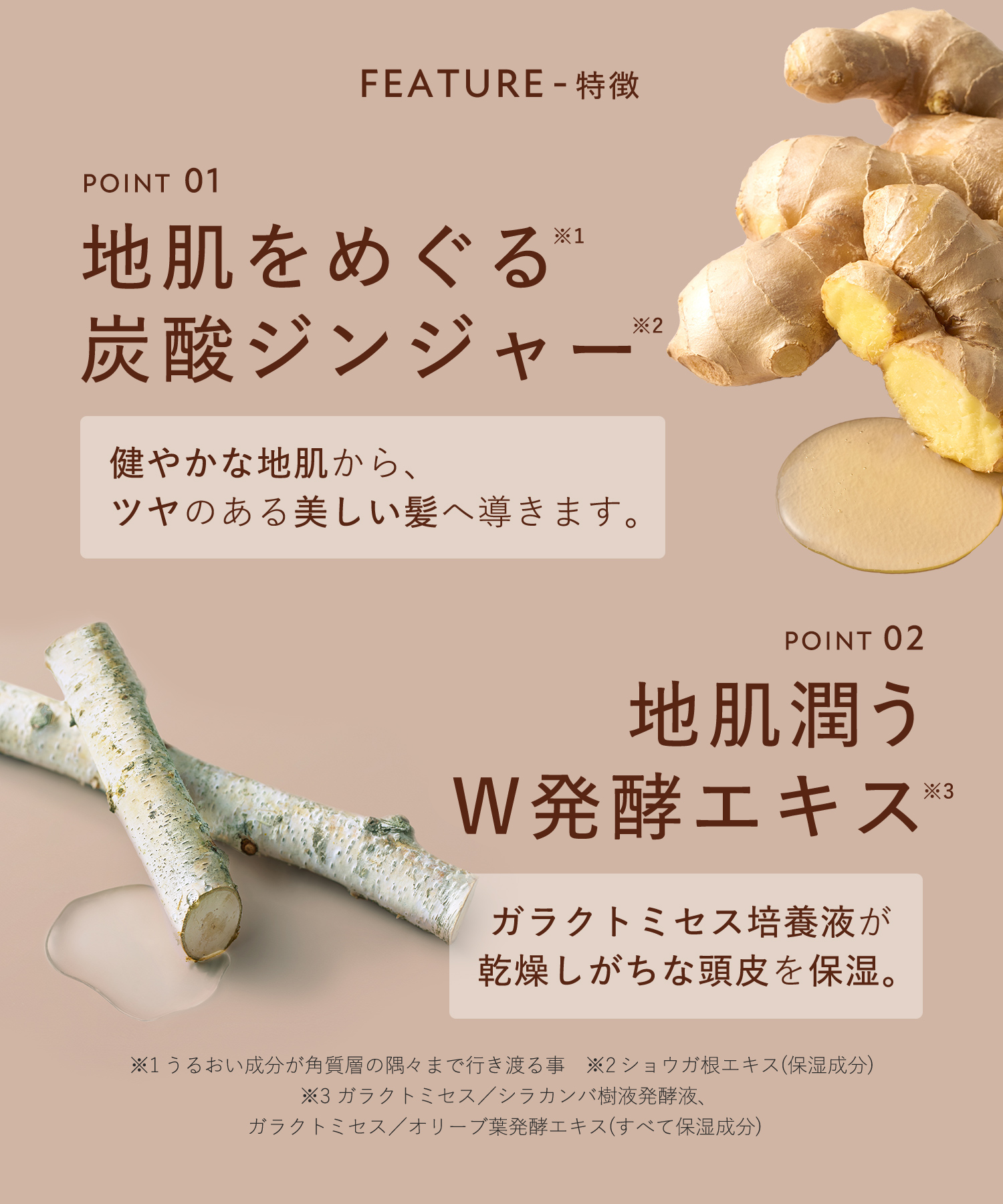 BOTANIST ROOTH ボタニスト ルース シャンプー・トリートメント ３倍大容量詰替 