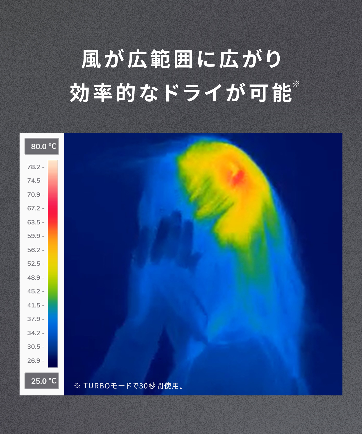 SALONIA サロニア スピーディーイオンドライヤー
