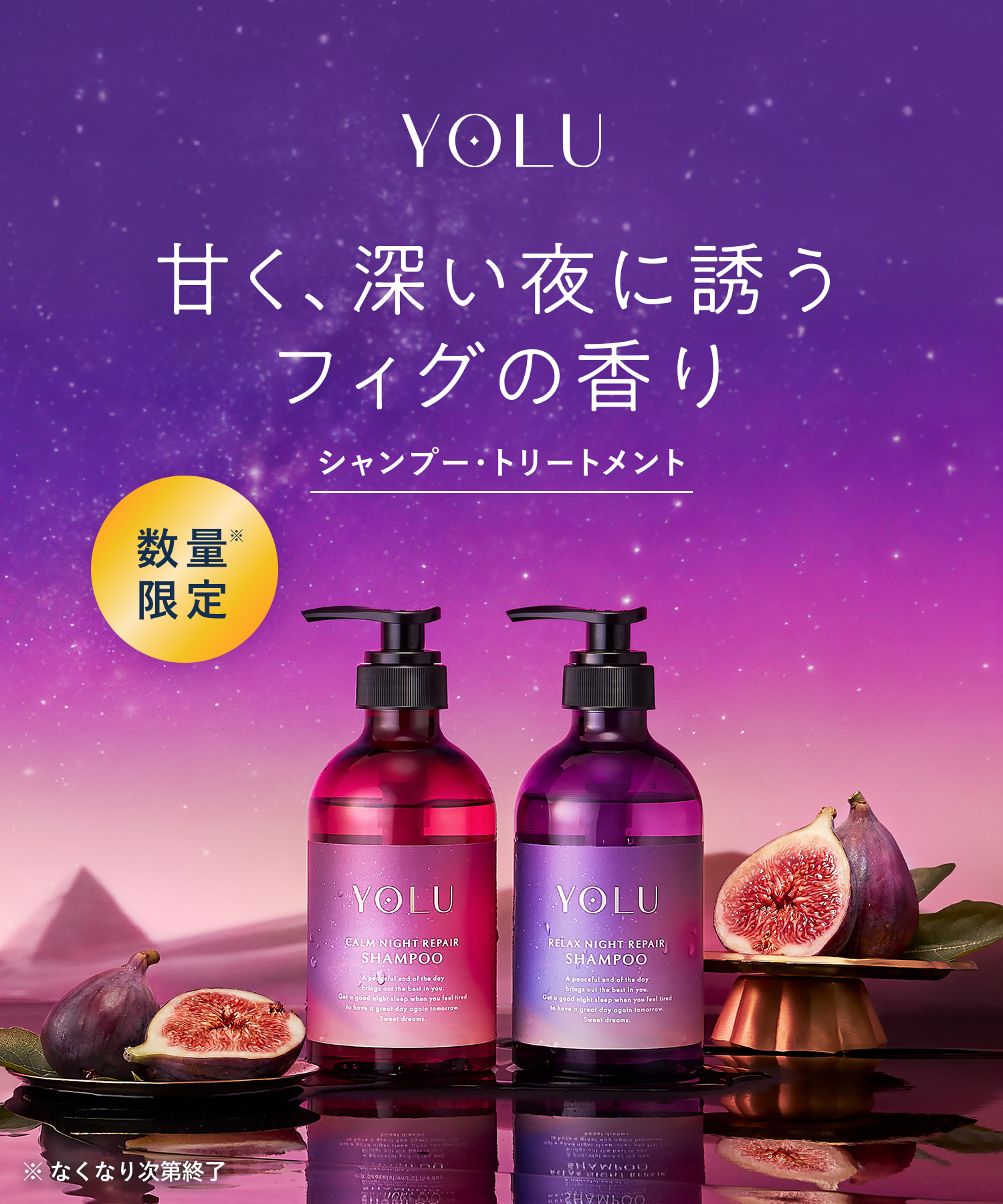【2026年秋限定】YOLU ヨル フィグ ナイトリペアシャンプー・トリートメント  2点セット