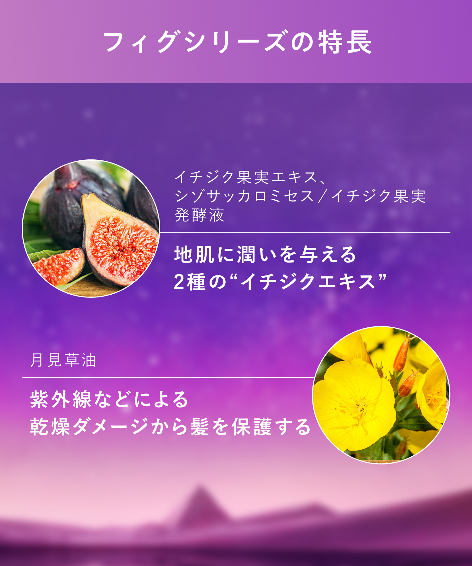 【2026年秋限定】YOLU ヨル フィグ ナイトリペアシャンプー・トリートメント  2点セット