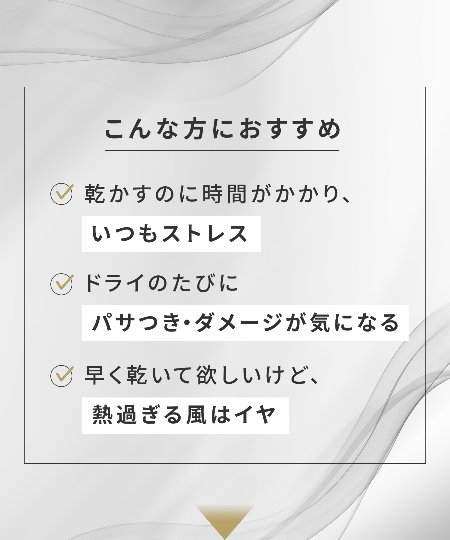 SALONIA サロニア スピーディーイオンドライヤー