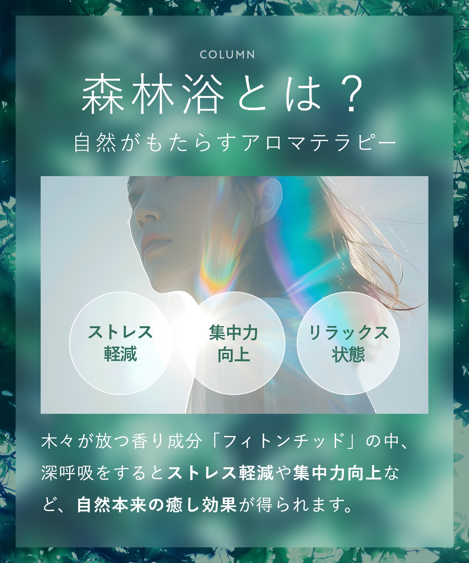 BOTANIST ボタニスト ボタニカルボディーソープ  詰替
