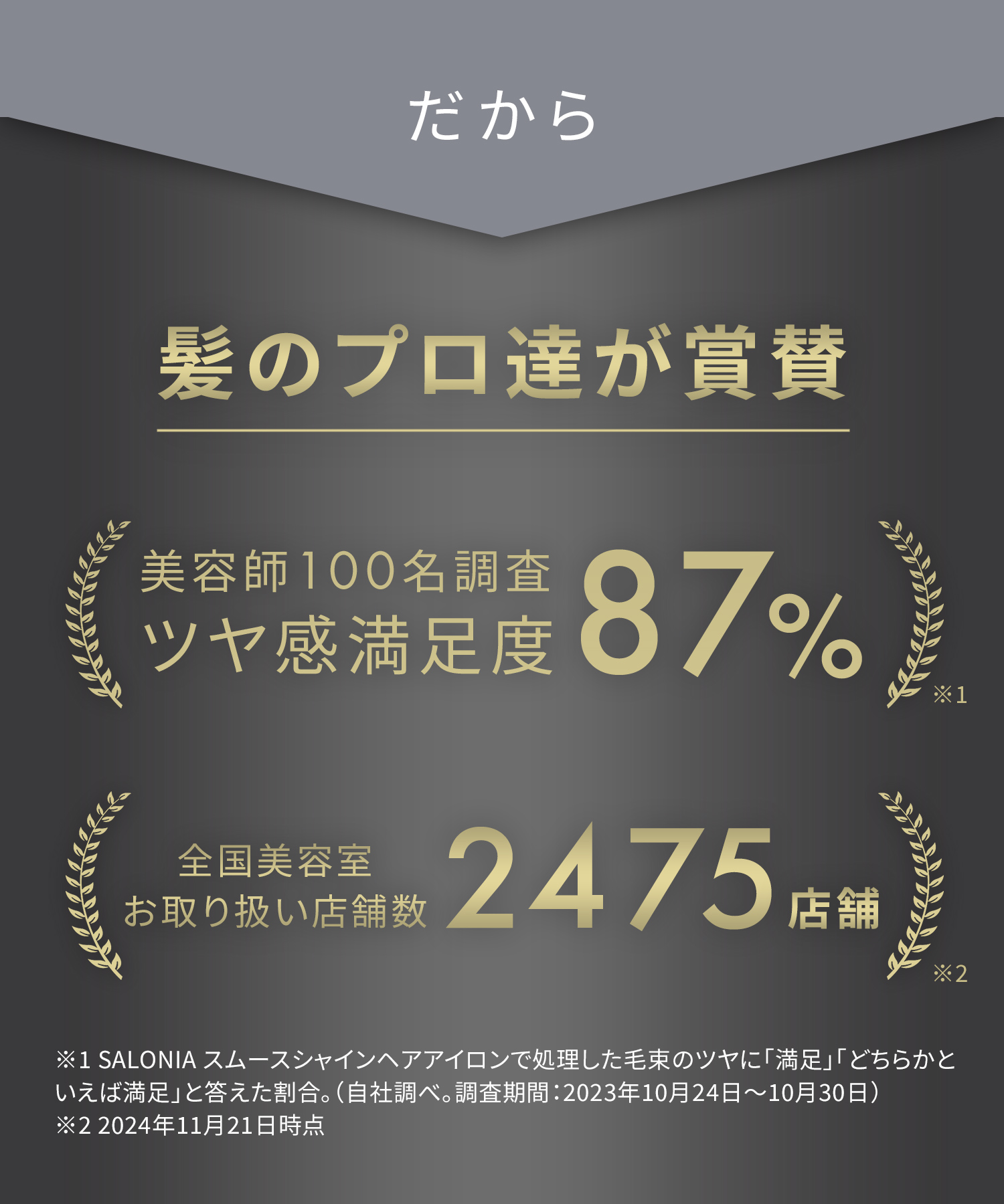 SALONIA サロニア スムースシャインヘアアイロン 