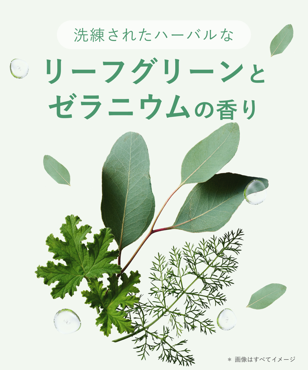 BOTANIST ボタニスト ボタニカルボディースクラブ