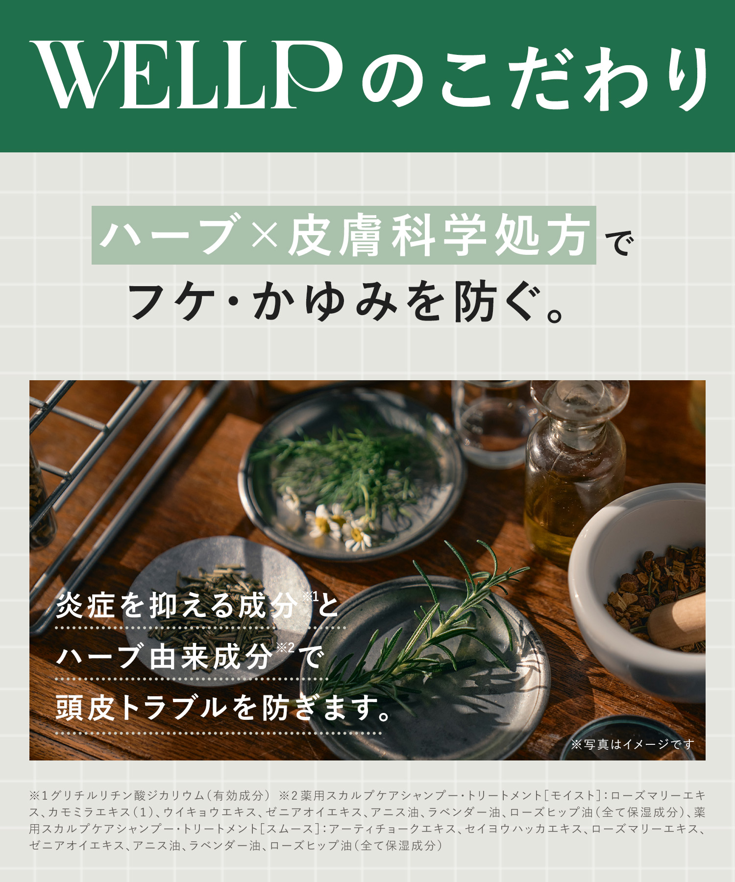 WELLP ウェルプ 薬用スカルプケアシャンプー/トリートメント【詰替】[医薬部外品]