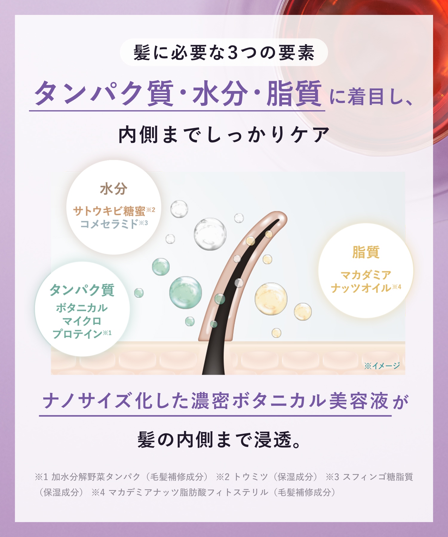 【2026年秋限定】BOTANIST ボタニスト ボタニカルシャンプー・トリートメント 