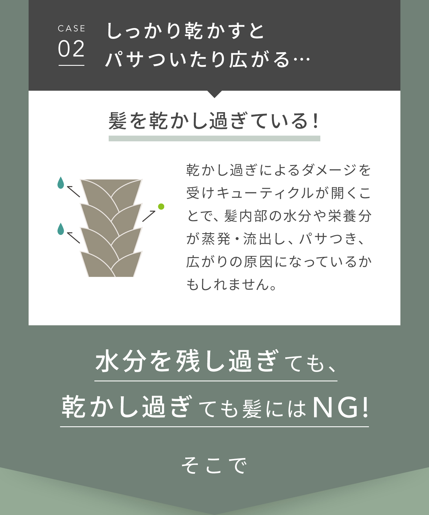 SALONIA サロニア エアトリートメントドライヤー 