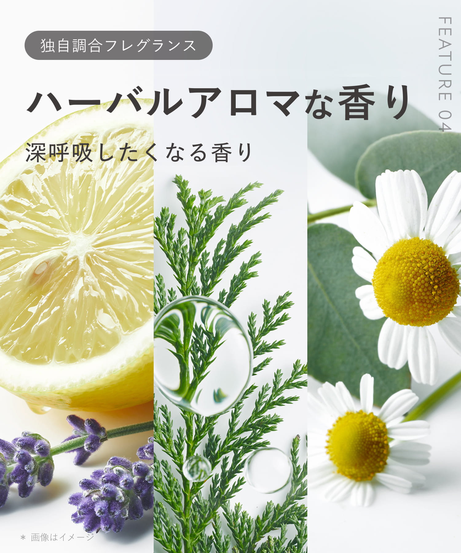 【リニューアル】BOTANIST ボタニスト ボタニカルヘアオイル・ヘアミルク