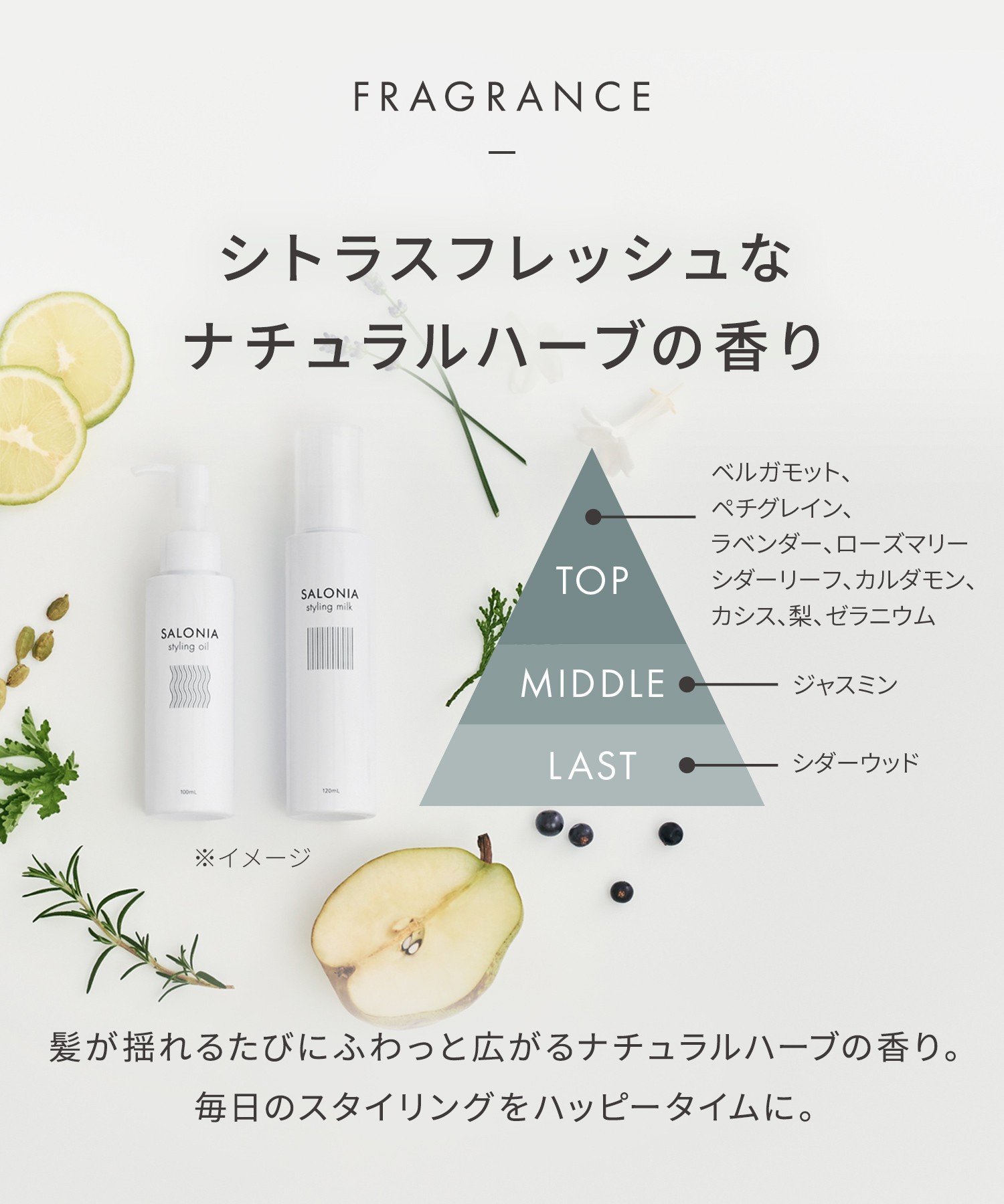 【まとめ買いで最大30%OFF】SALONIA サロニア スタイリングミルク